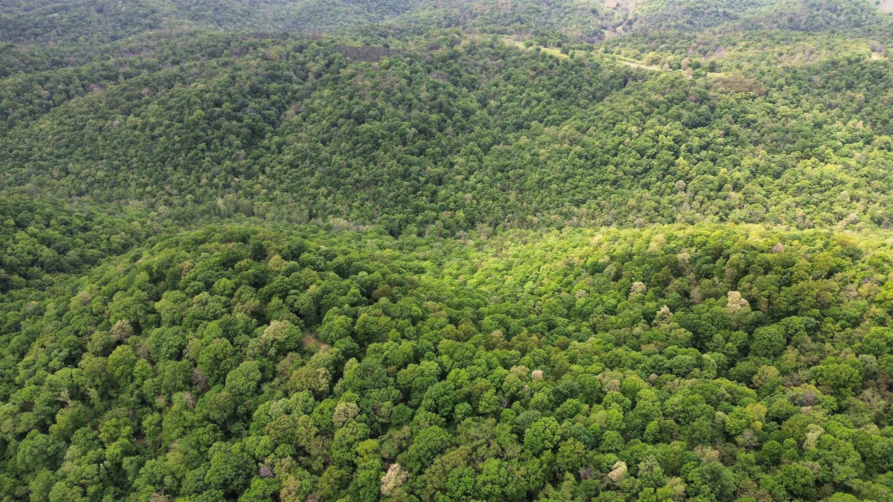 104A Williamson Trail  Guion, AR