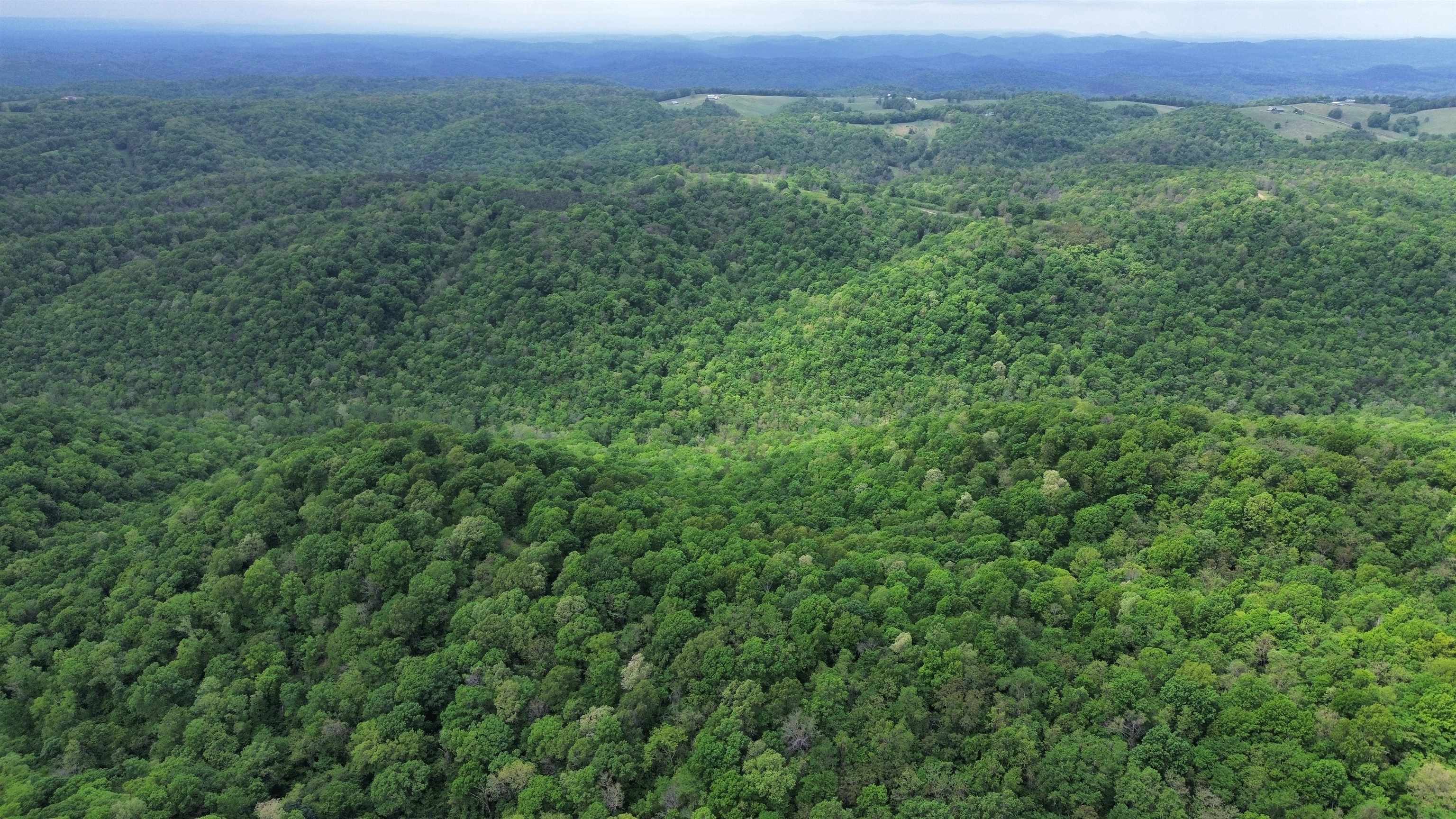 104A Williamson Trail  Guion, AR