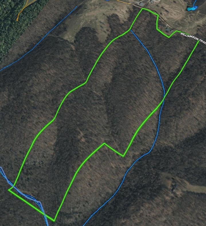 104A Williamson Trail  Guion, AR