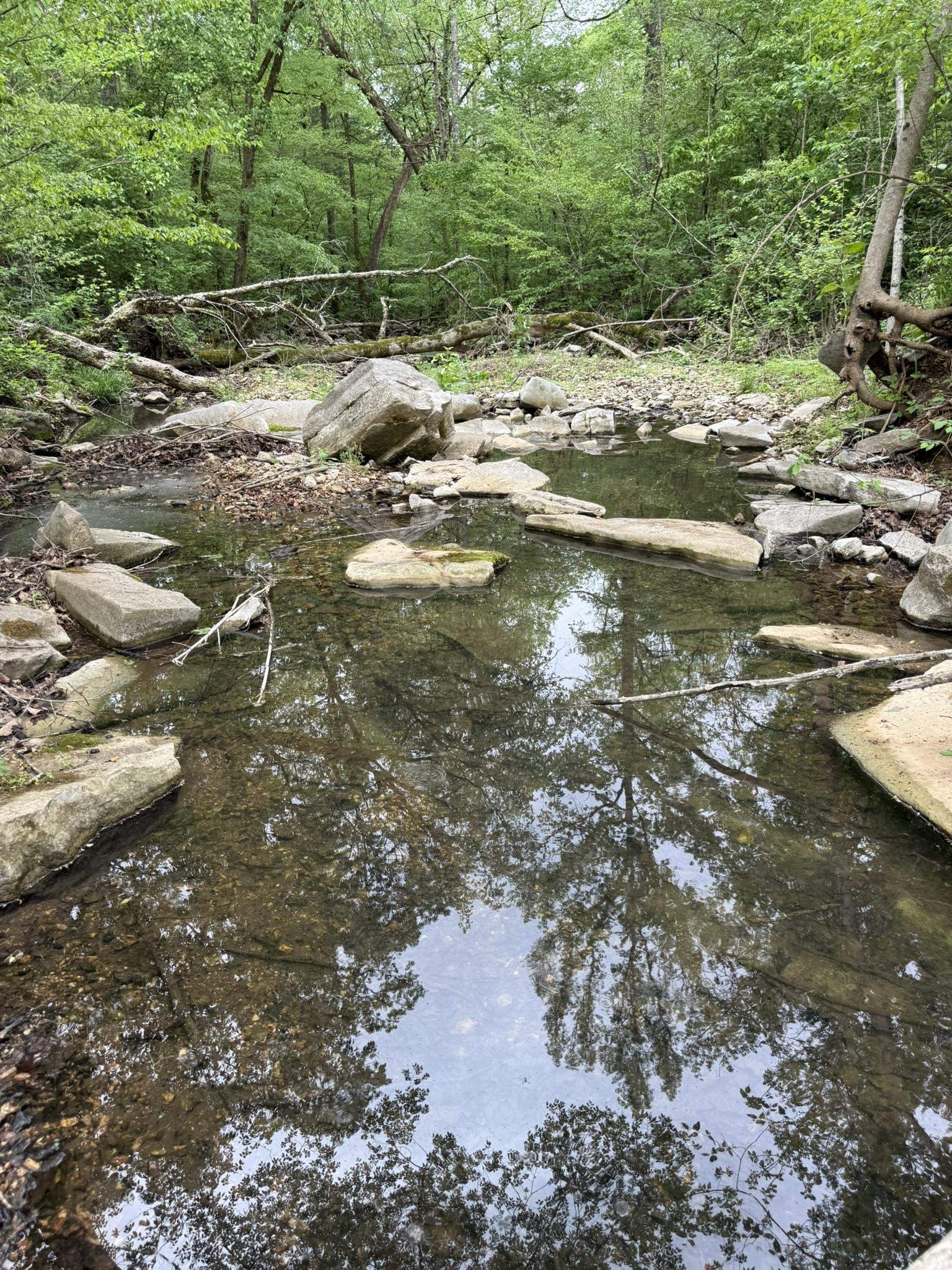 104A Williamson Trail  Guion, AR