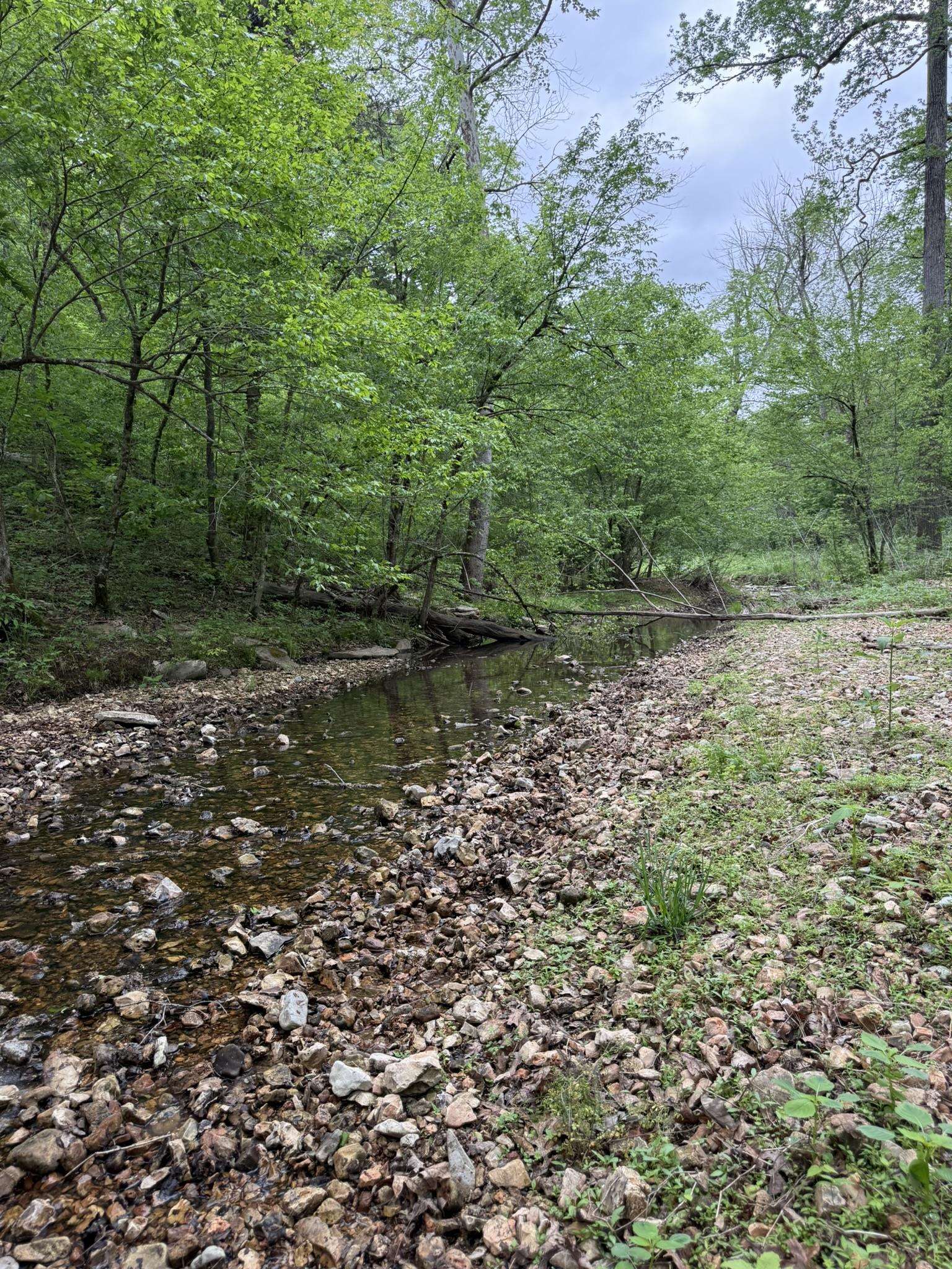 104A Williamson Trail  Guion, AR