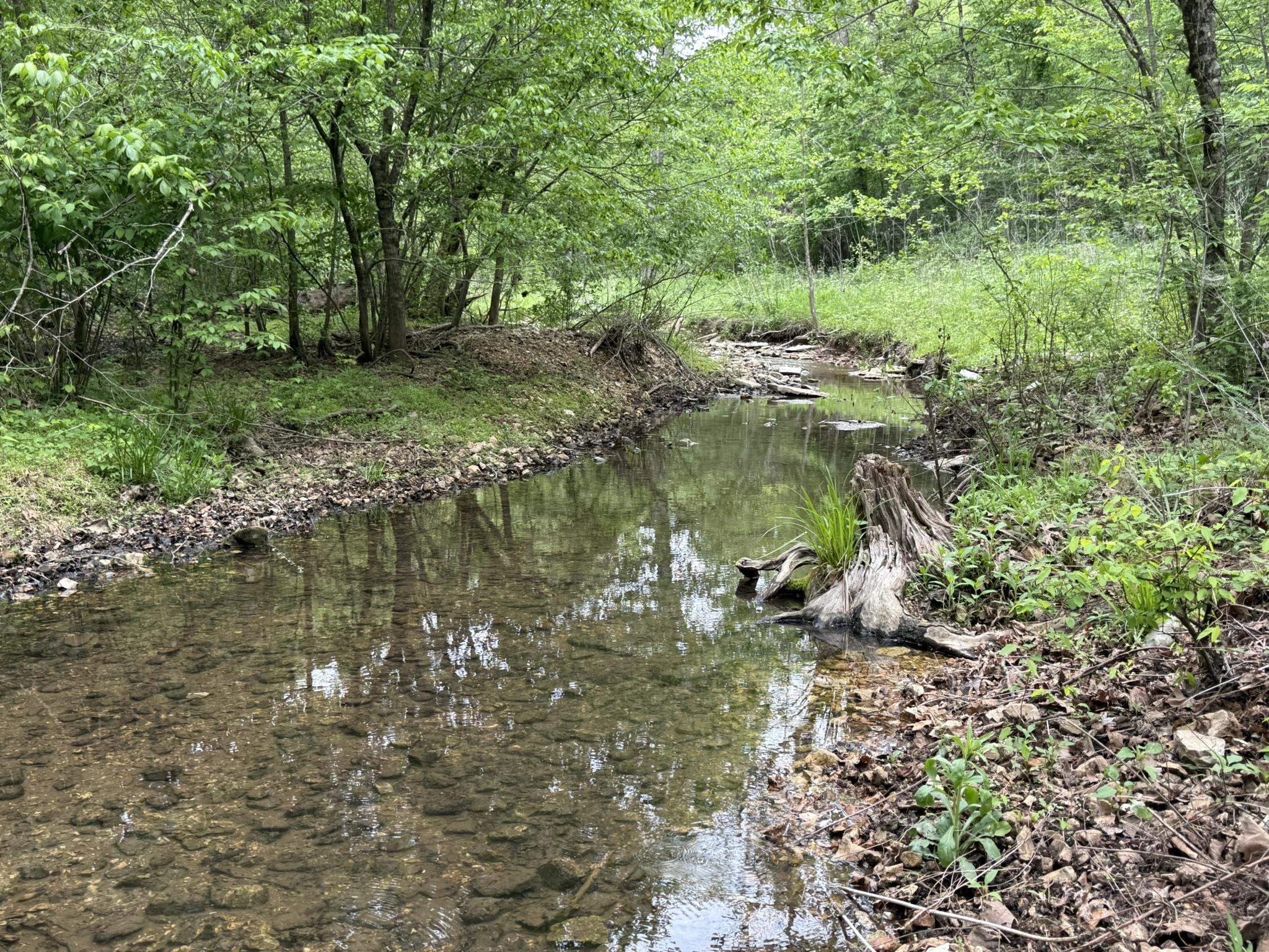 104A Williamson Trail  Guion, AR