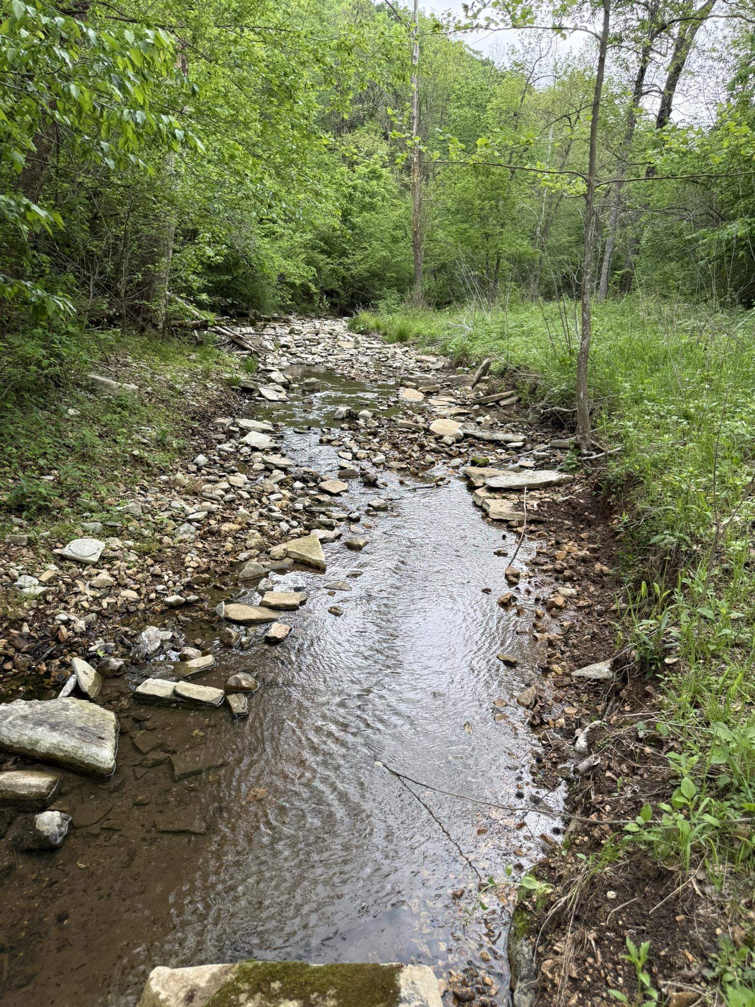 104A Williamson Trail  Guion, AR