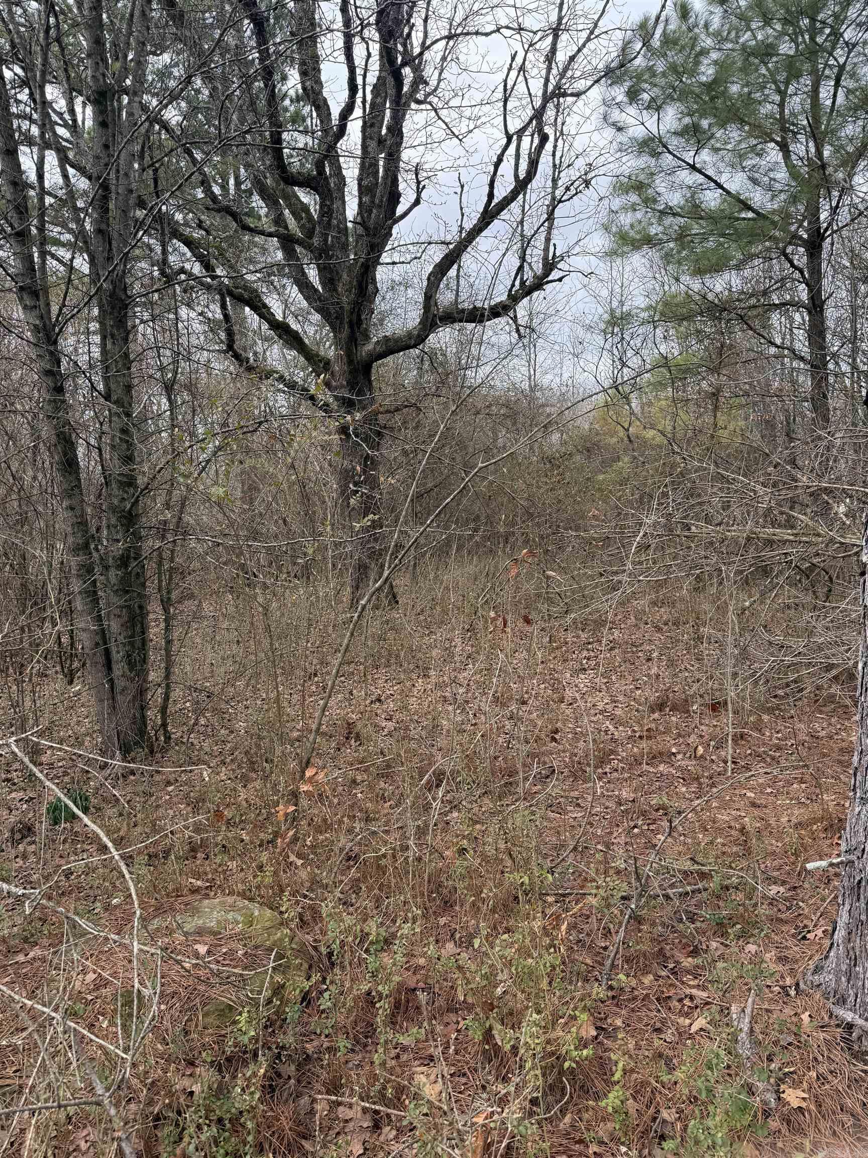 31000 W Hundley  Bigelow, AR