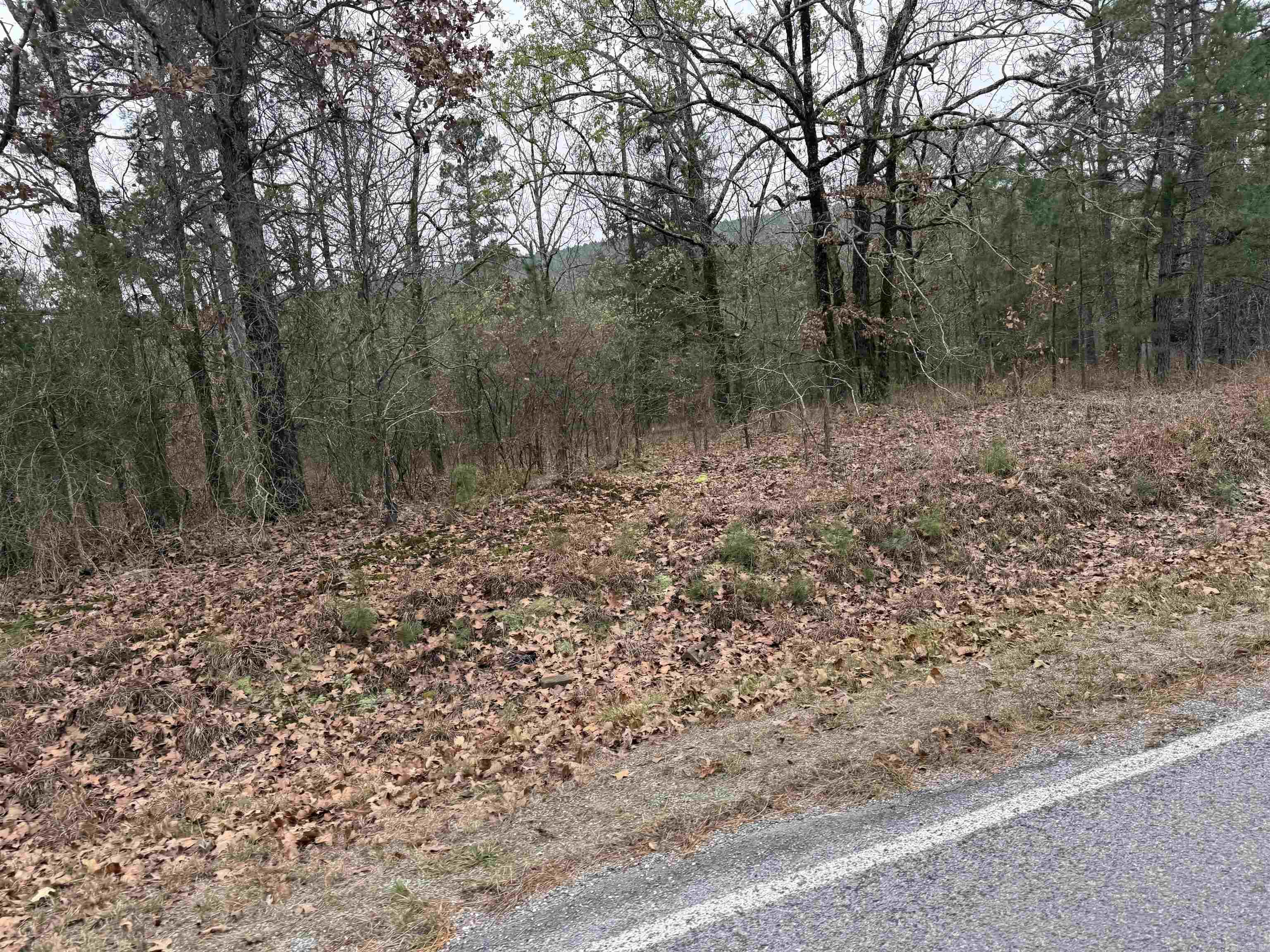 31000 W Hundley  Bigelow, AR