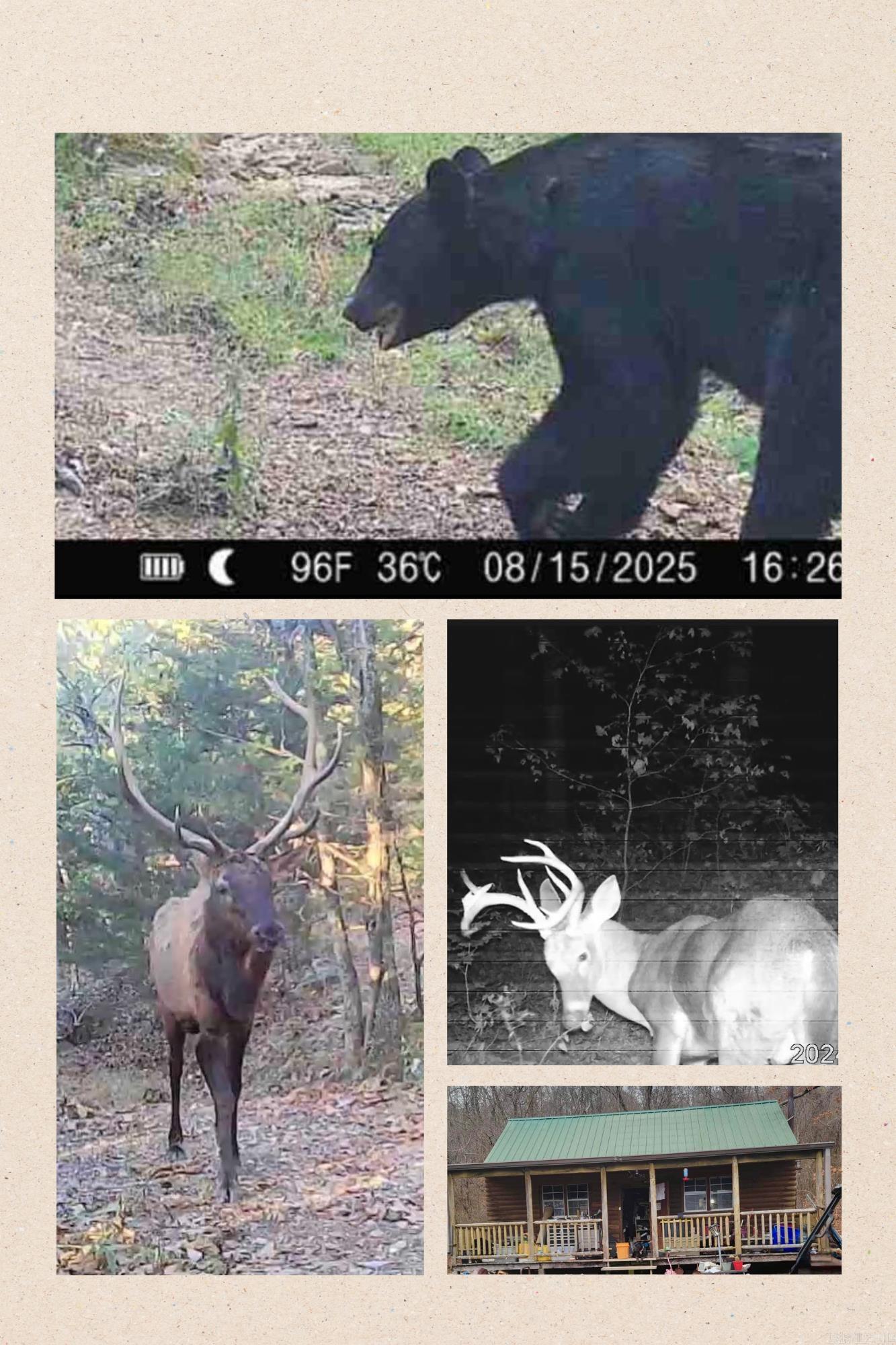 582 Marathon Lane  Saint Joe, AR