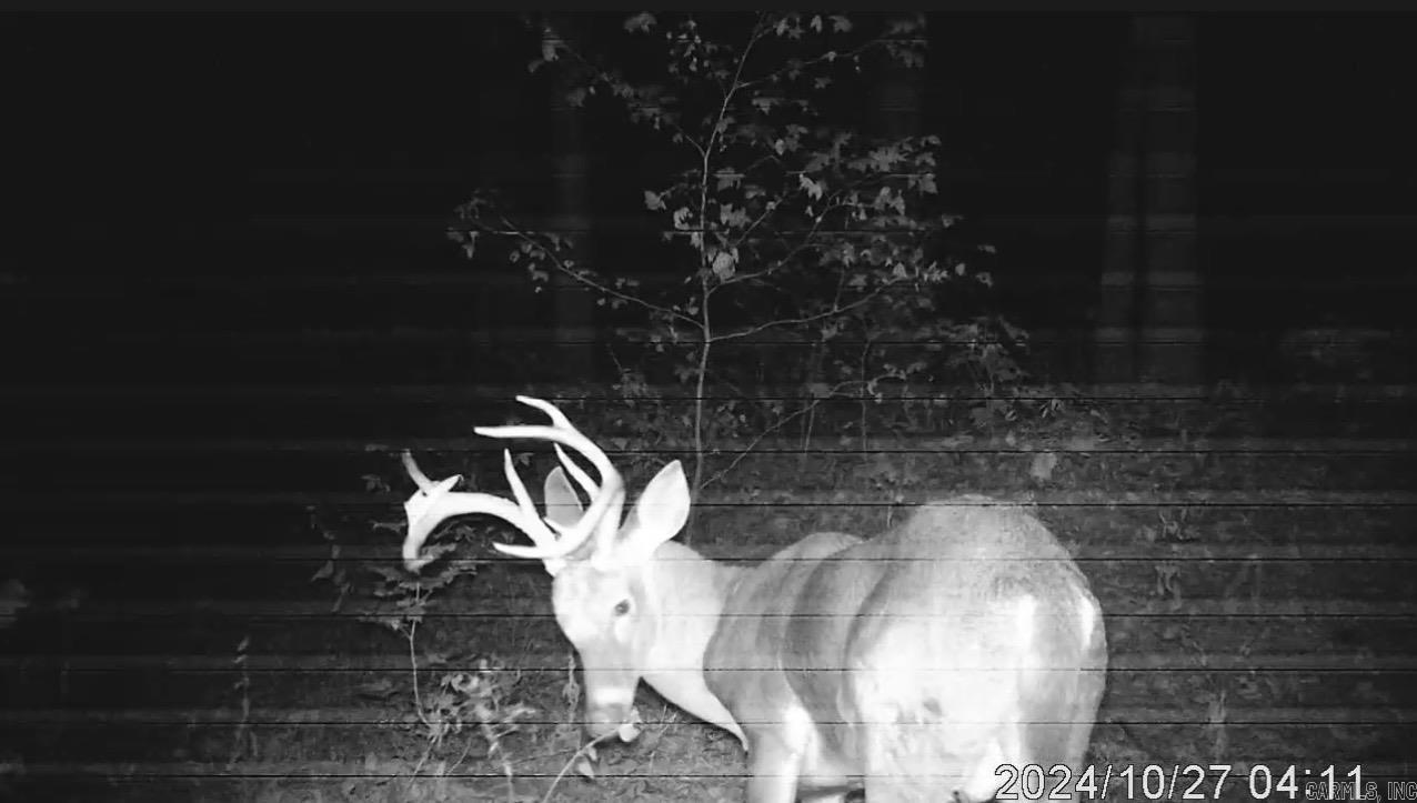 582 Marathon Lane  Saint Joe, AR