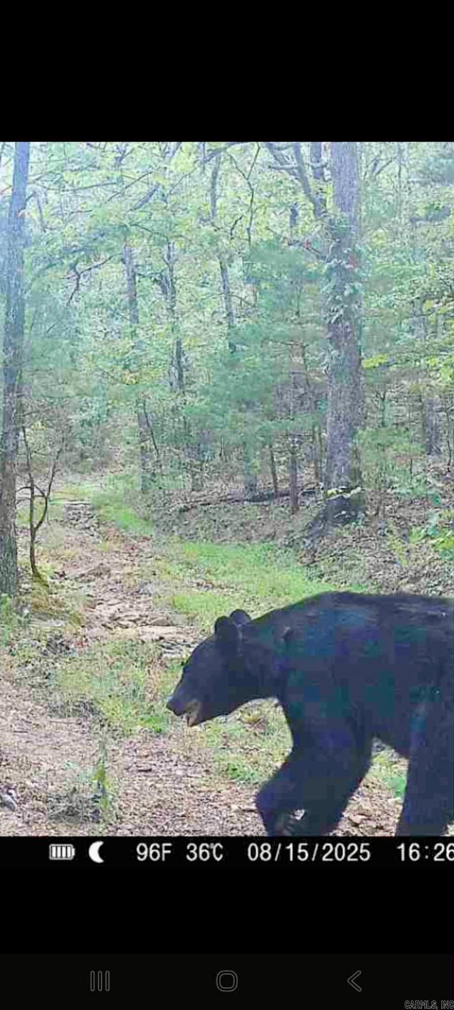 582 Marathon Lane  Saint Joe, AR