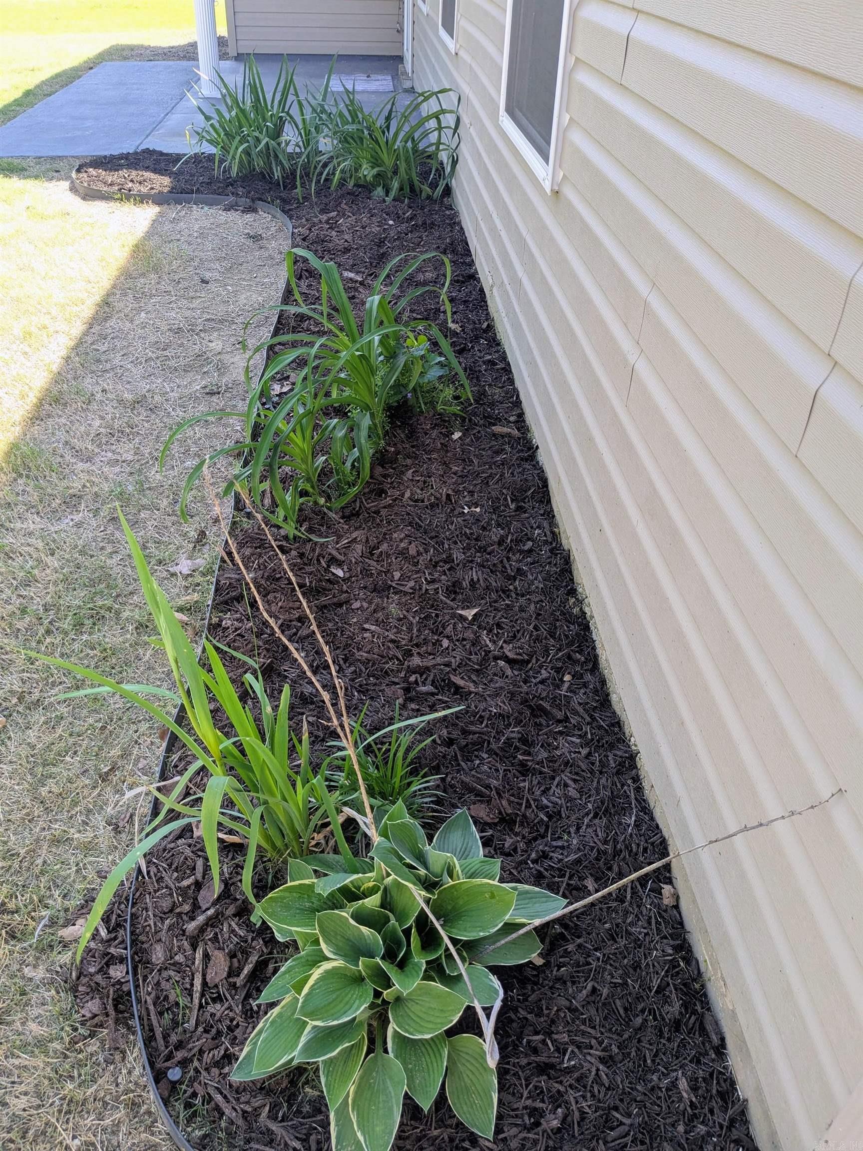 4204 Willow Ridge  Jonesboro, AR