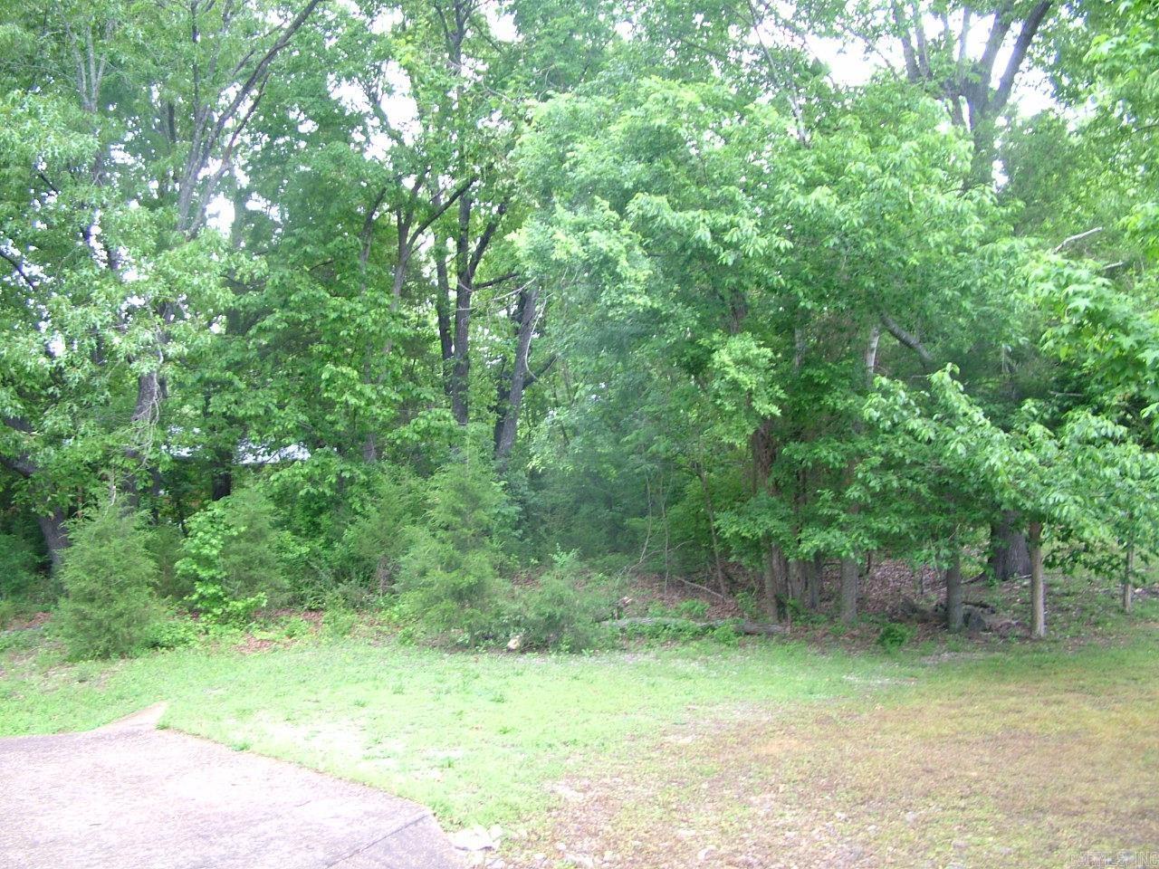 Lot 8 Franklin  Mountain Home, AR