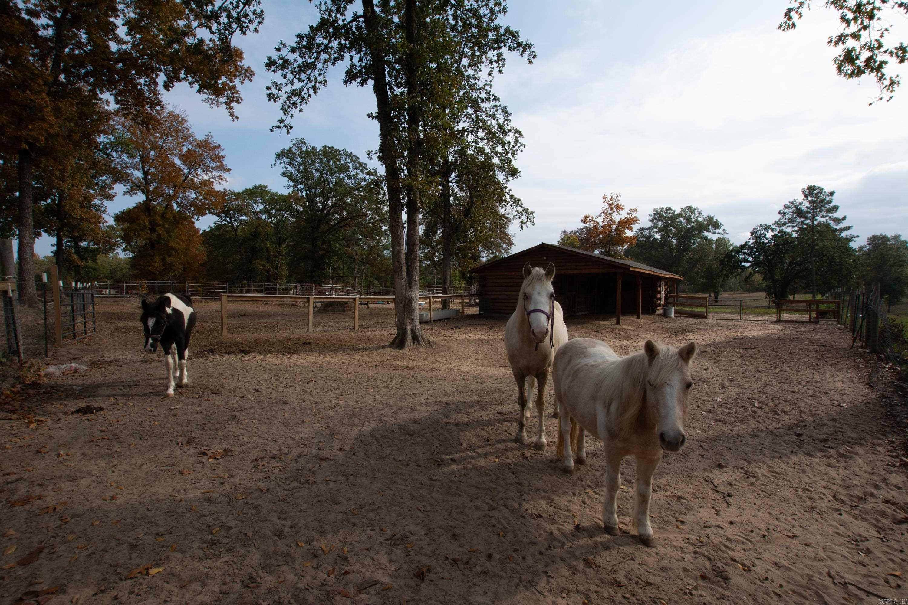 19688 MCPHERSON  Mabelvale, AR