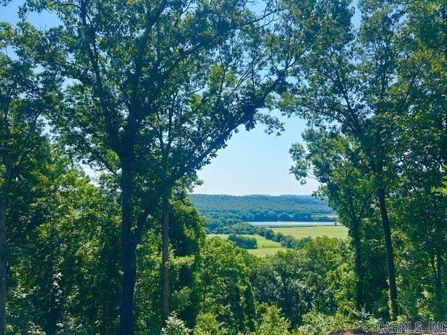 341 Petty Road Marcella, AR 72555