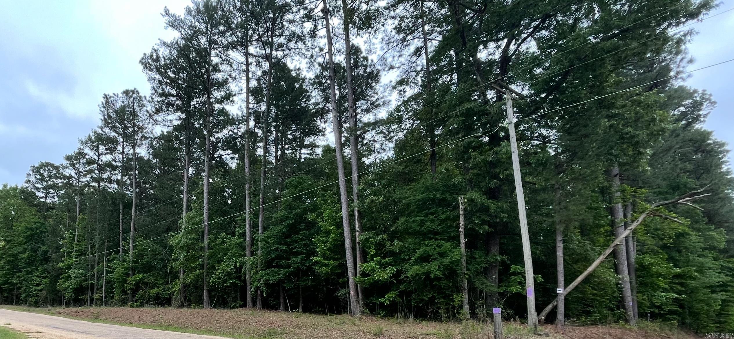 56.48 acres Ouachita 387  Camden, AR
