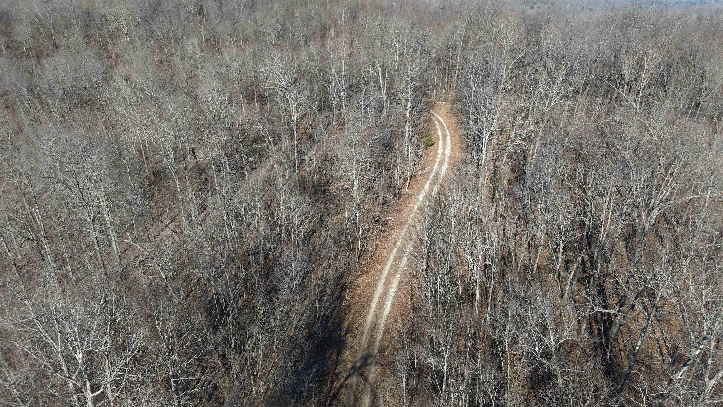 115A Greasy Bottom Road  Melbourne, AR