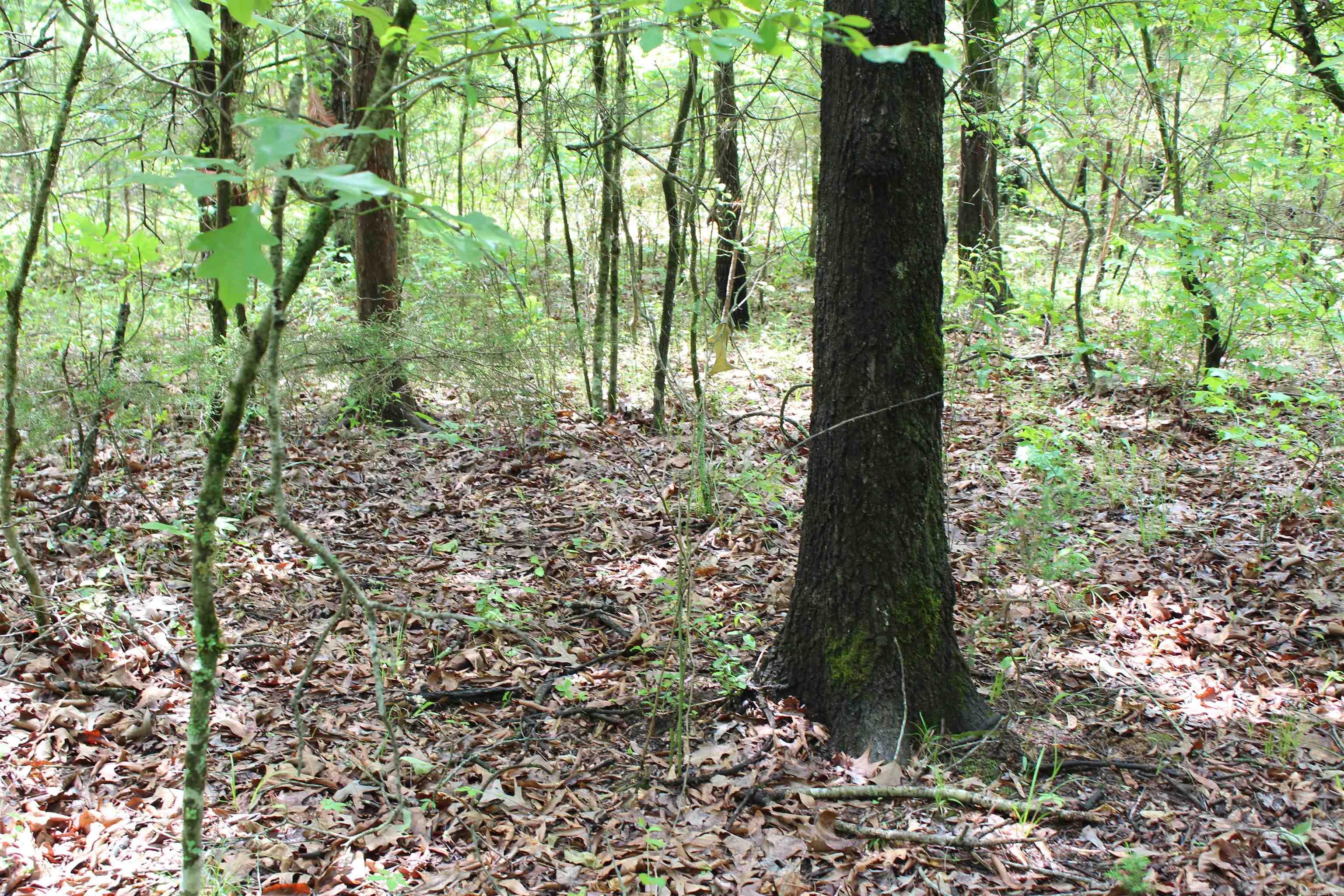 000 426  Dardanelle, AR