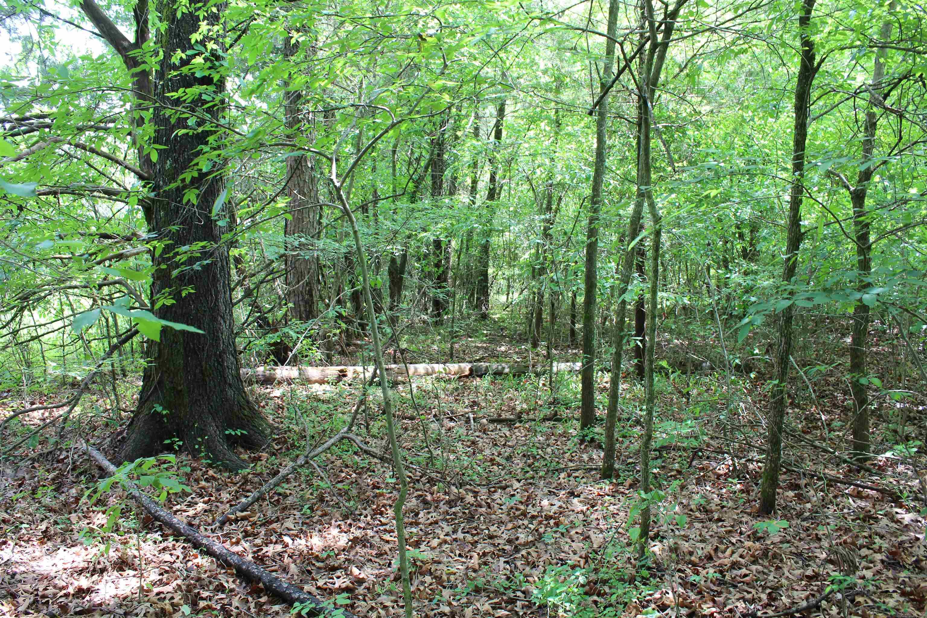 000 426  Dardanelle, AR