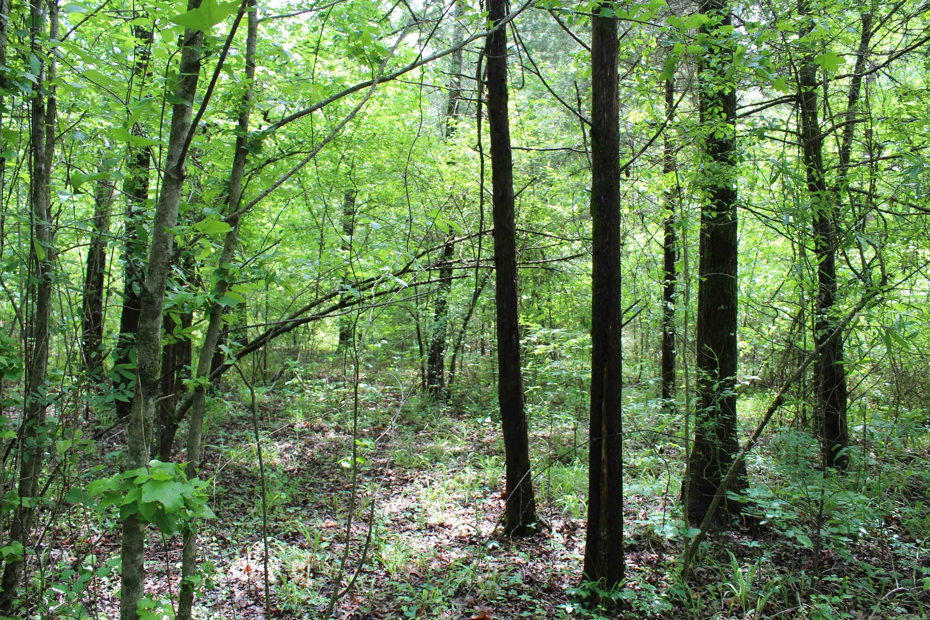 000 426  Dardanelle, AR