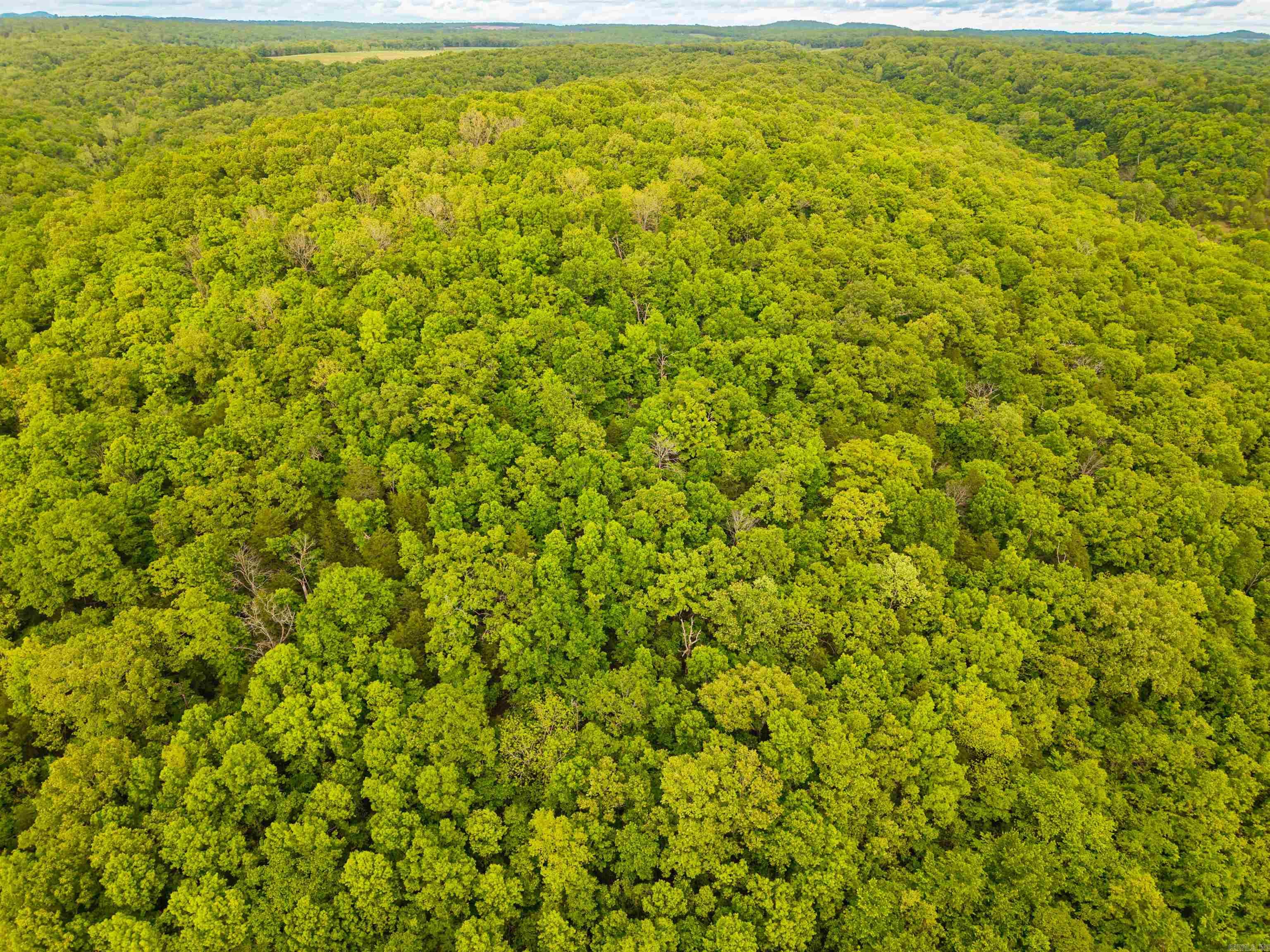 001-07618-000 CR 58  Gassville, AR