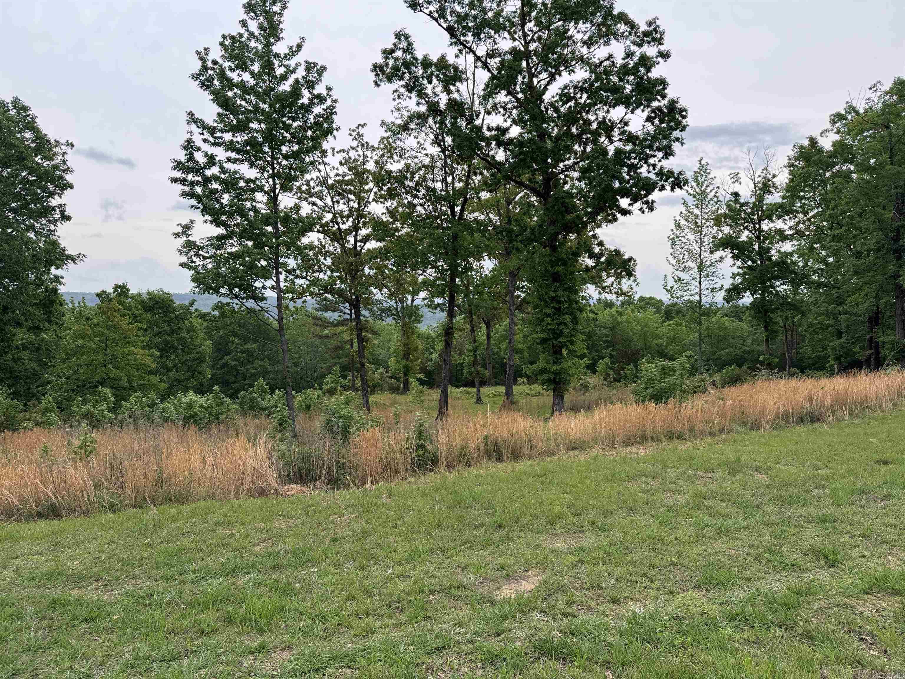 TRACT 1 Watersedge  Edgemont, AR