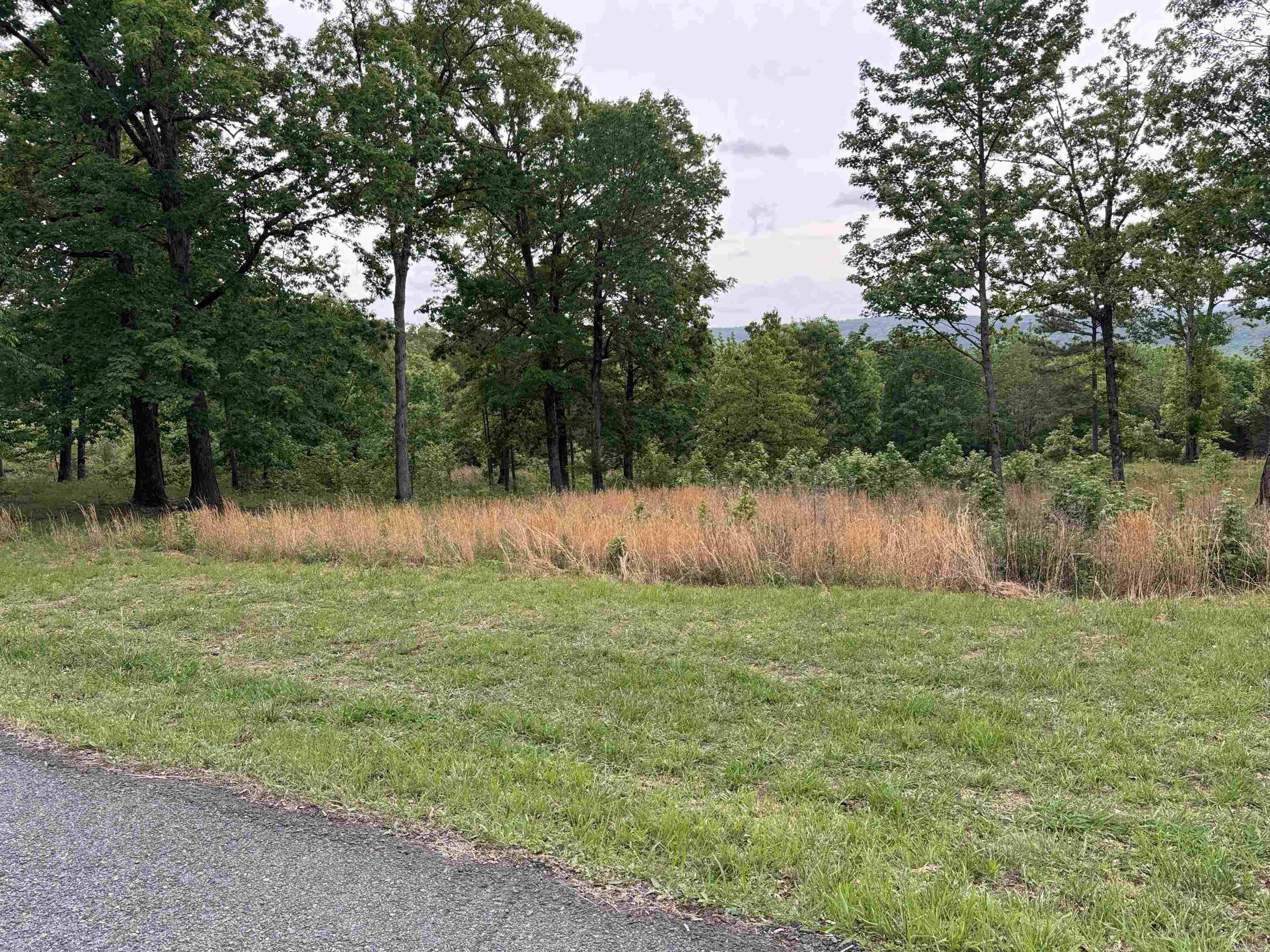 TRACT 1 Watersedge  Edgemont, AR