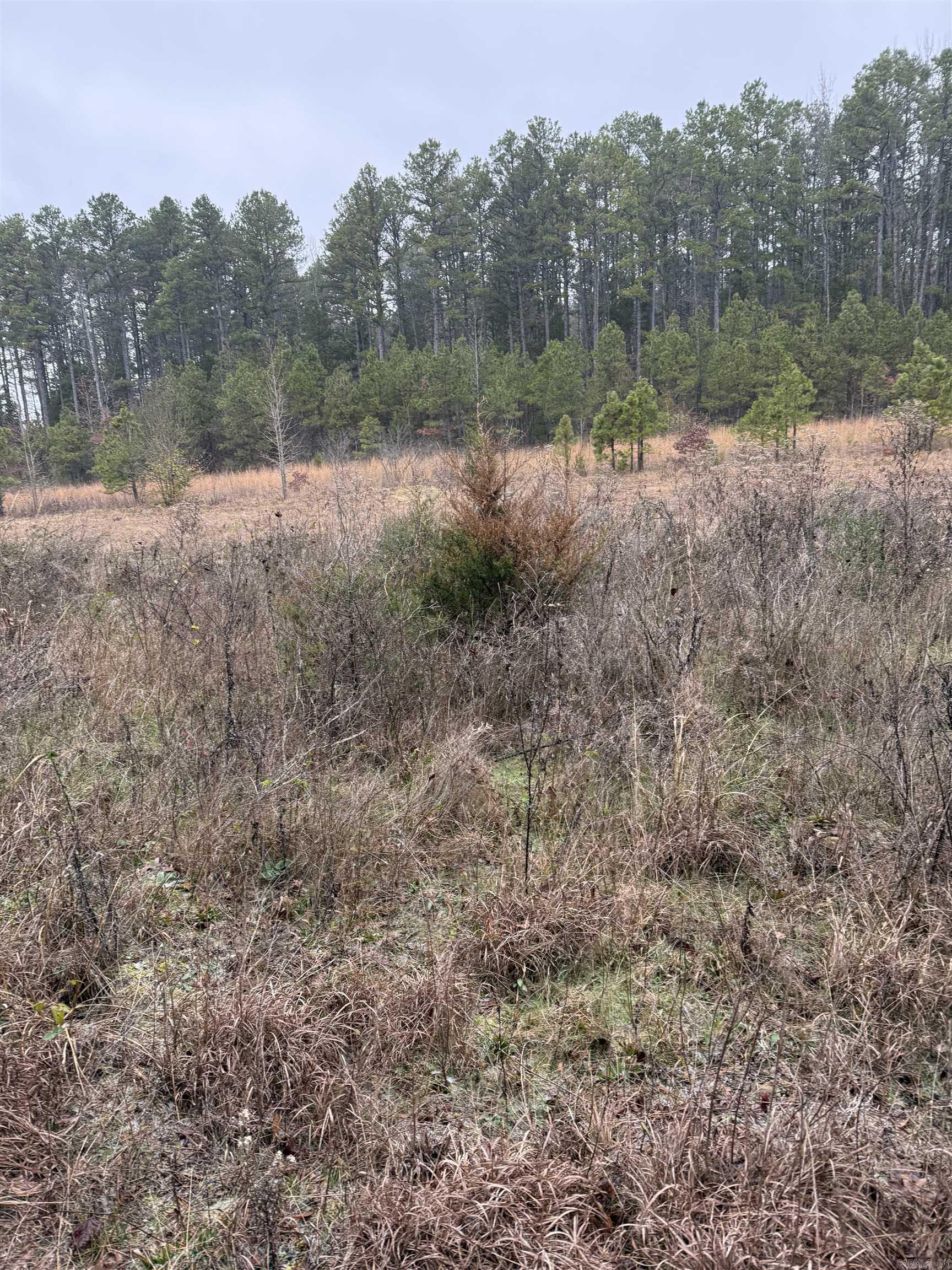 1295 goff  Quitman, AR