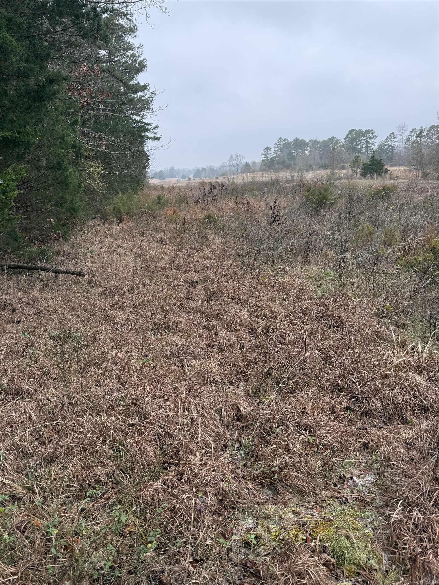 1285 goff  Quitman, AR