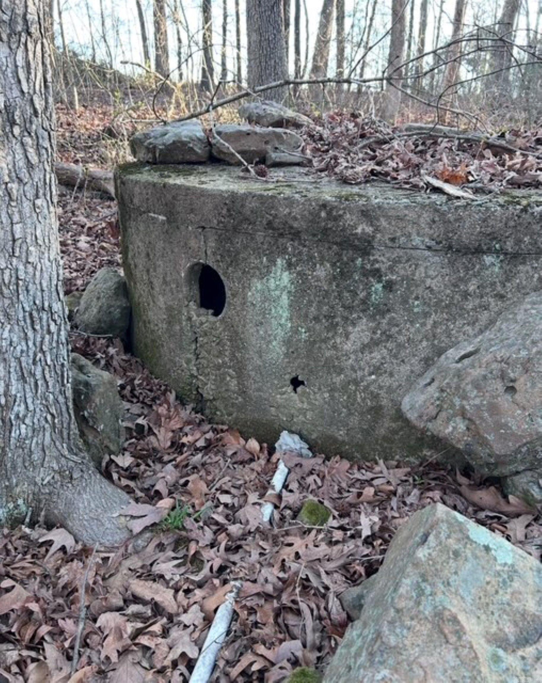 353 Lonnie Lee  Fox, AR