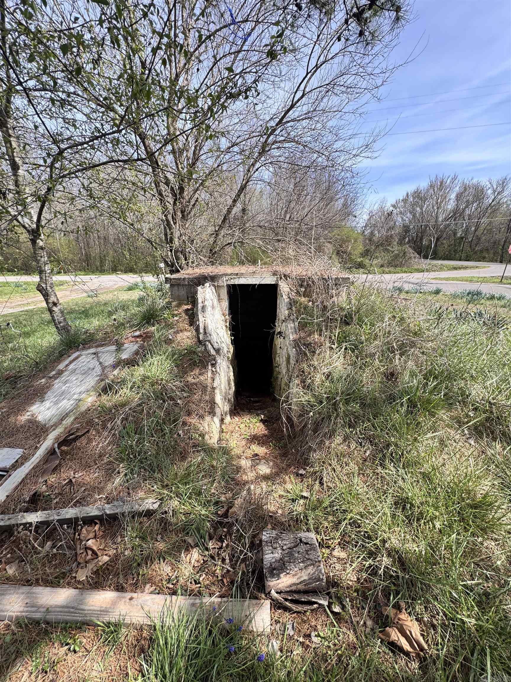 1114 S CHERRY  Altus, AR