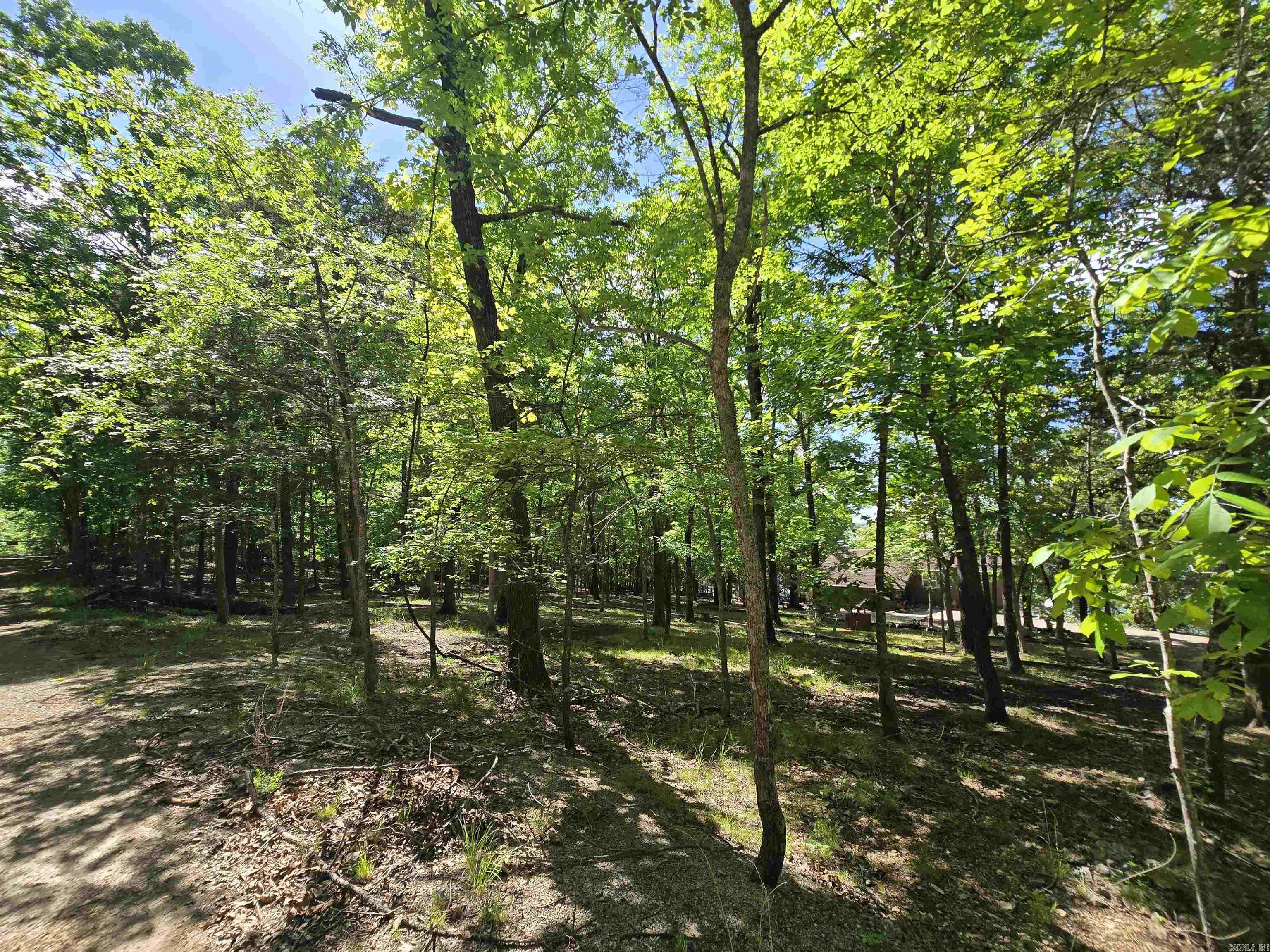 1535 MC 142  Oakland, AR