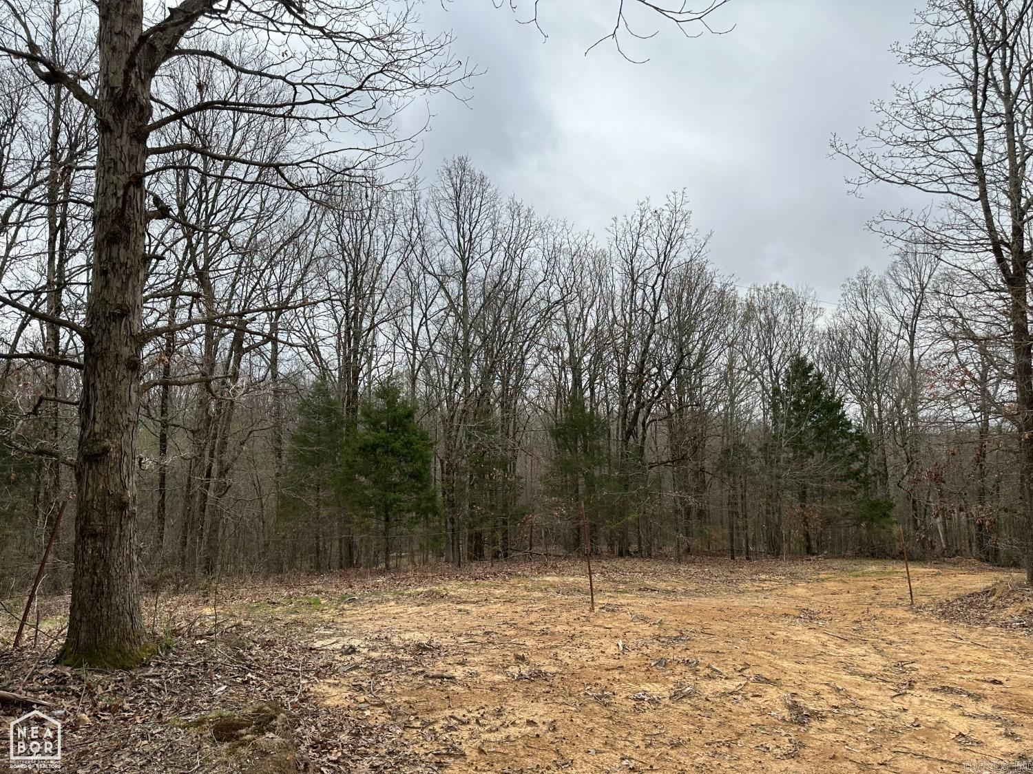 Lot 1 Raby  Harrisburg, AR