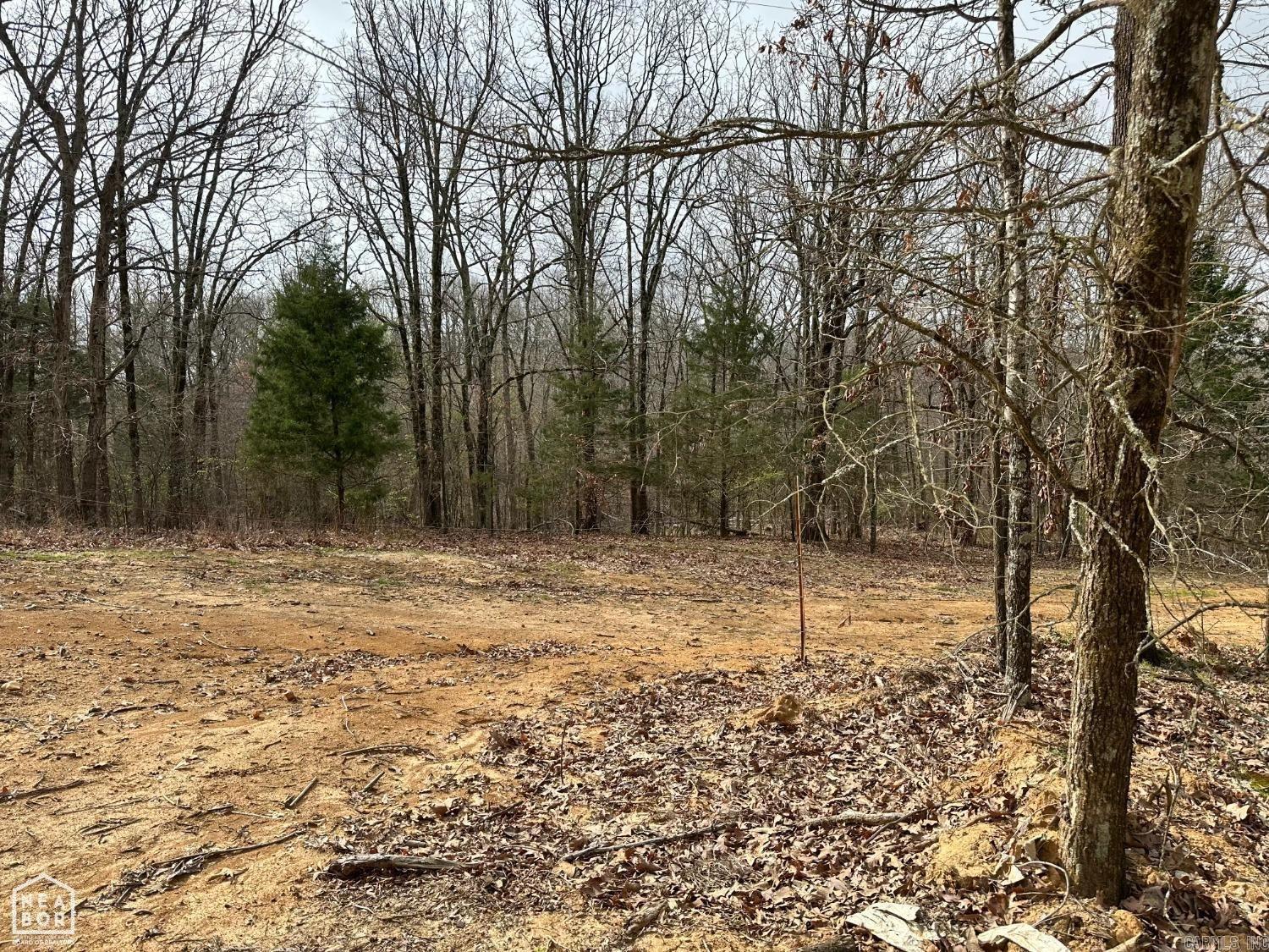 Lot 2 Raby  Harrisburg, AR