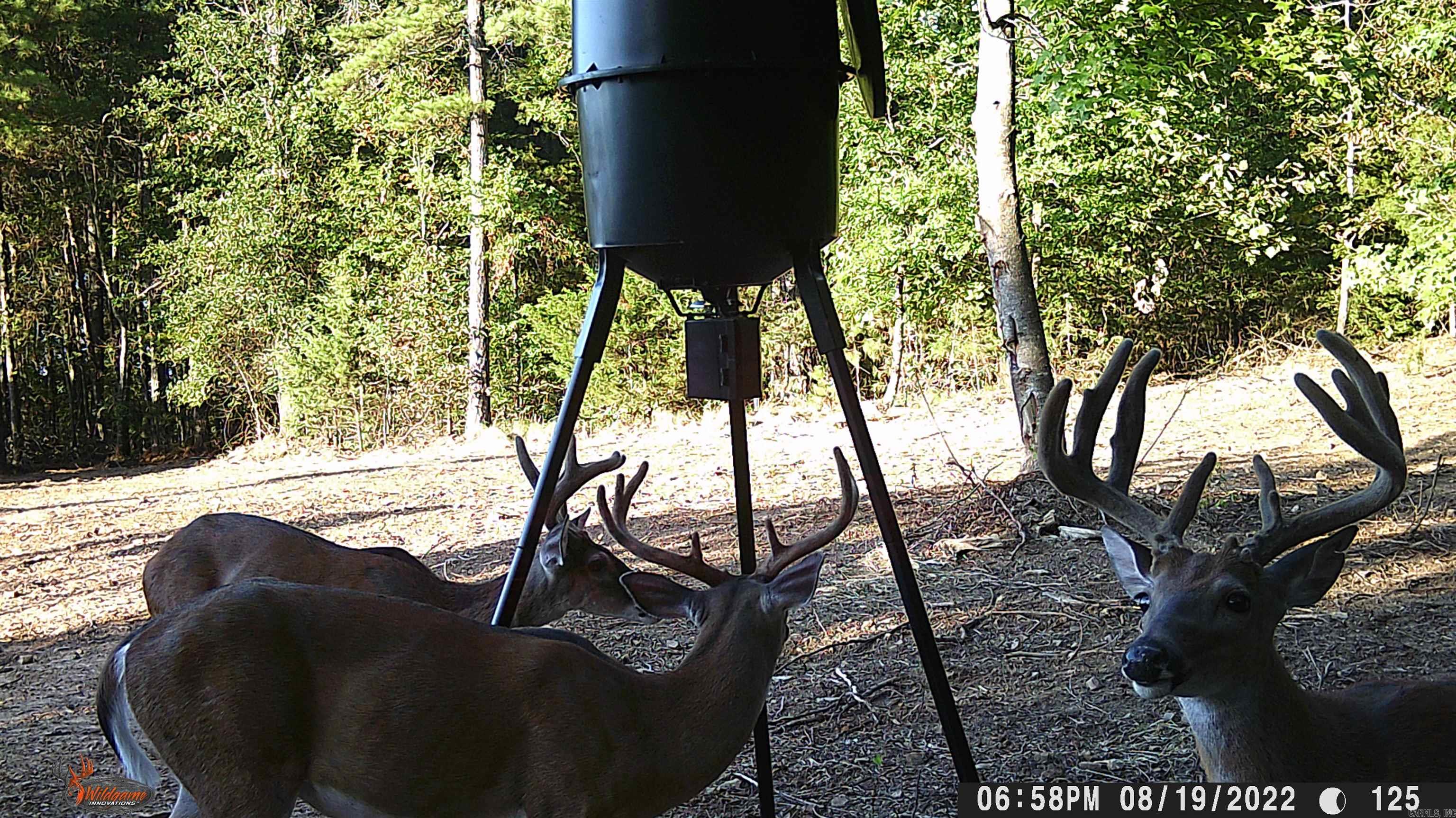 00 Jason Lane  Greenbrier, AR