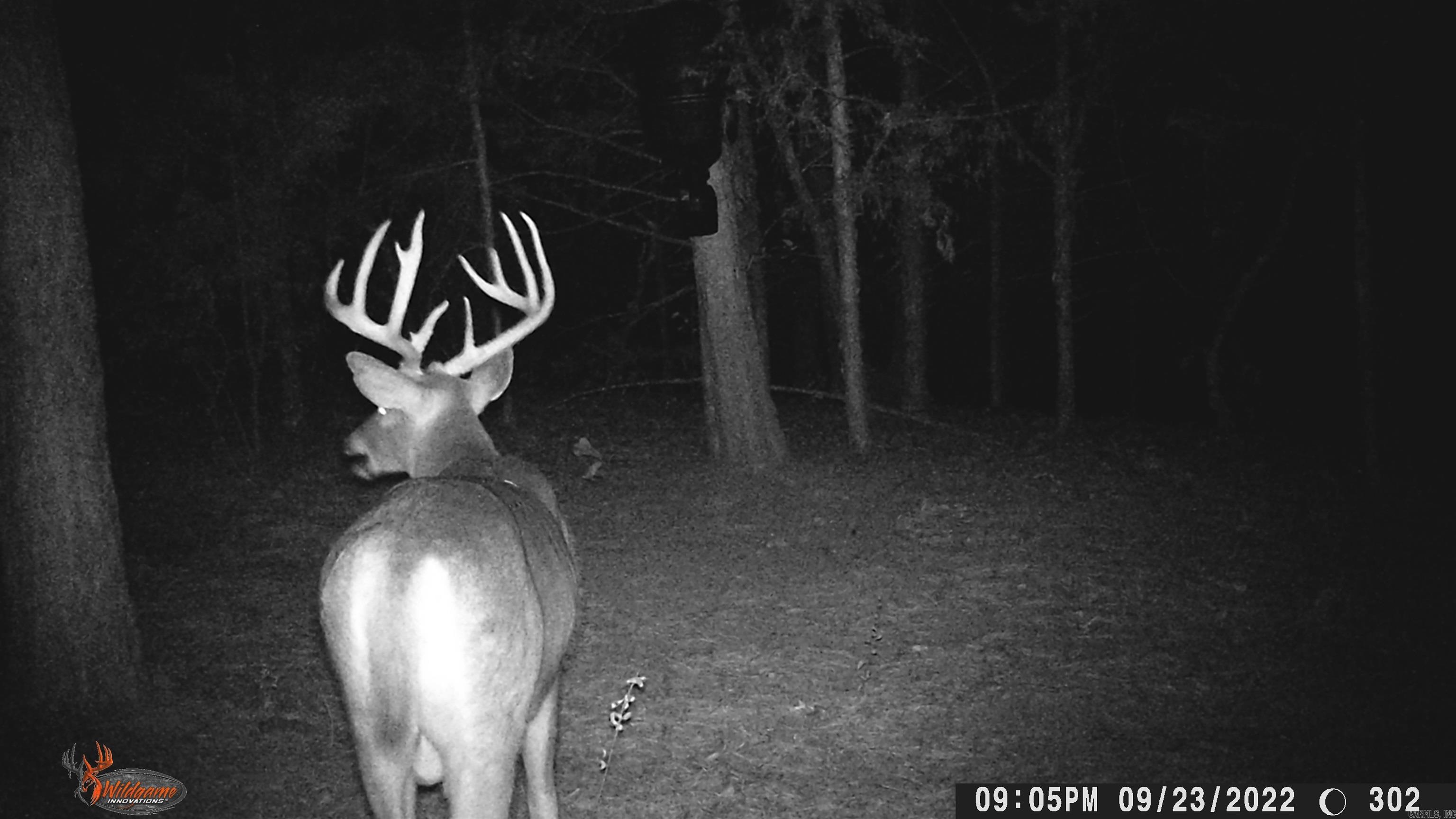 00 Jason Lane  Greenbrier, AR