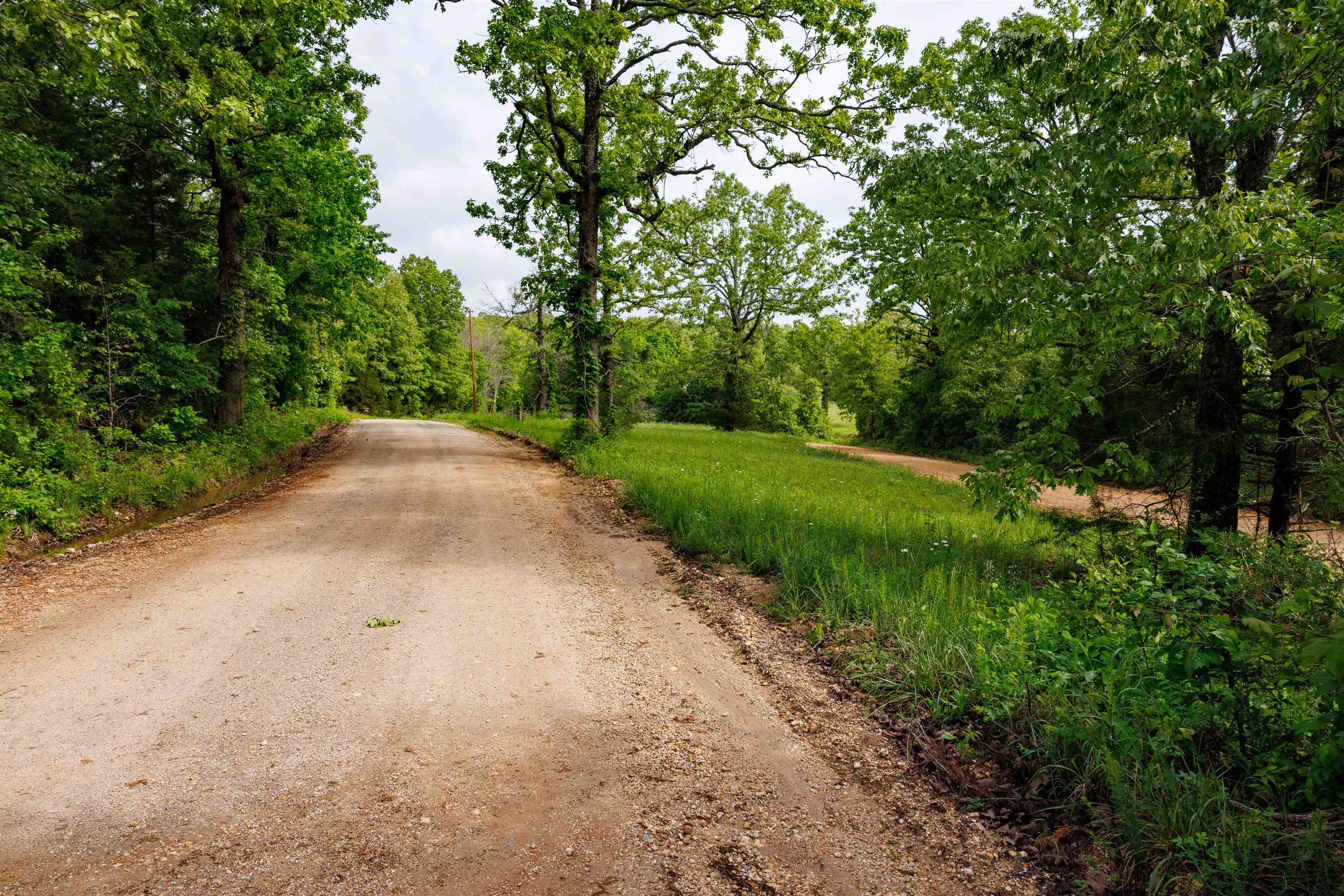 TBD Morriston Rd  Salem, AR