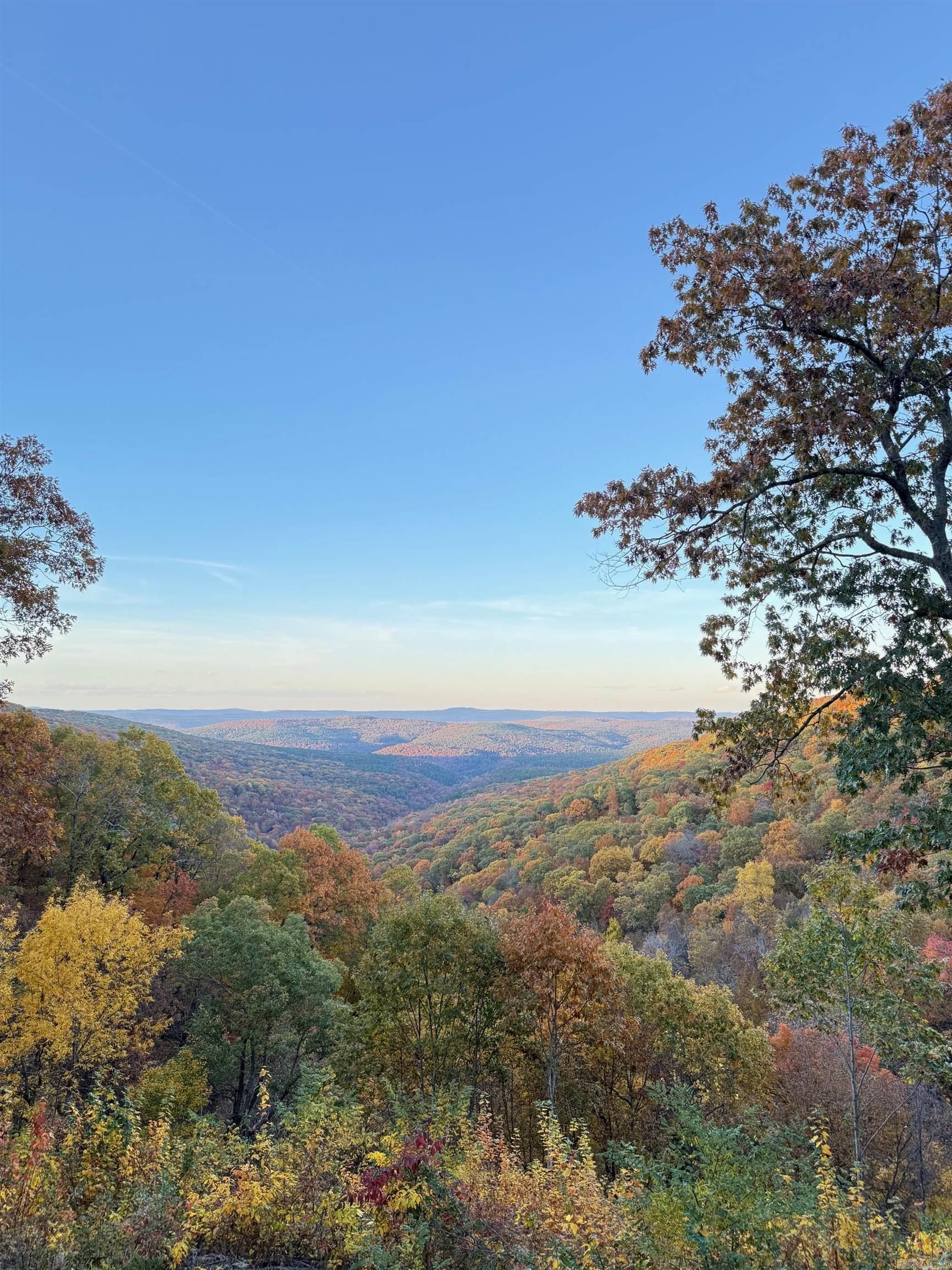 5800 White Oak Mountain Road Hector, AR 72843