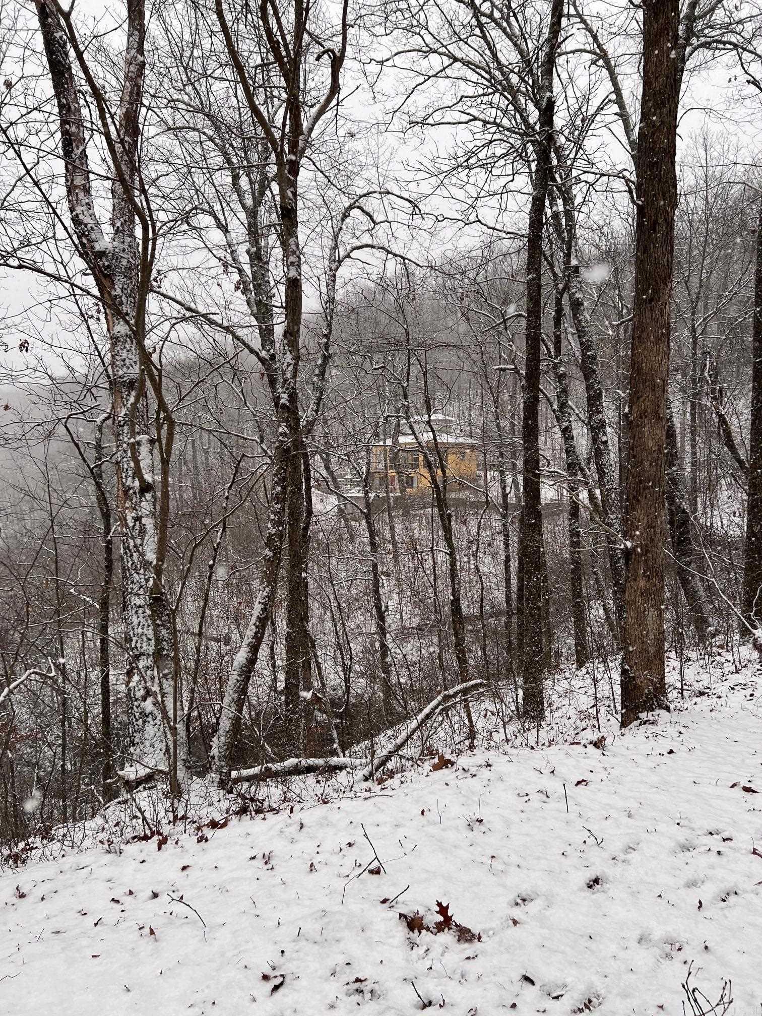 5800 White Oak Mountain  Hector, AR