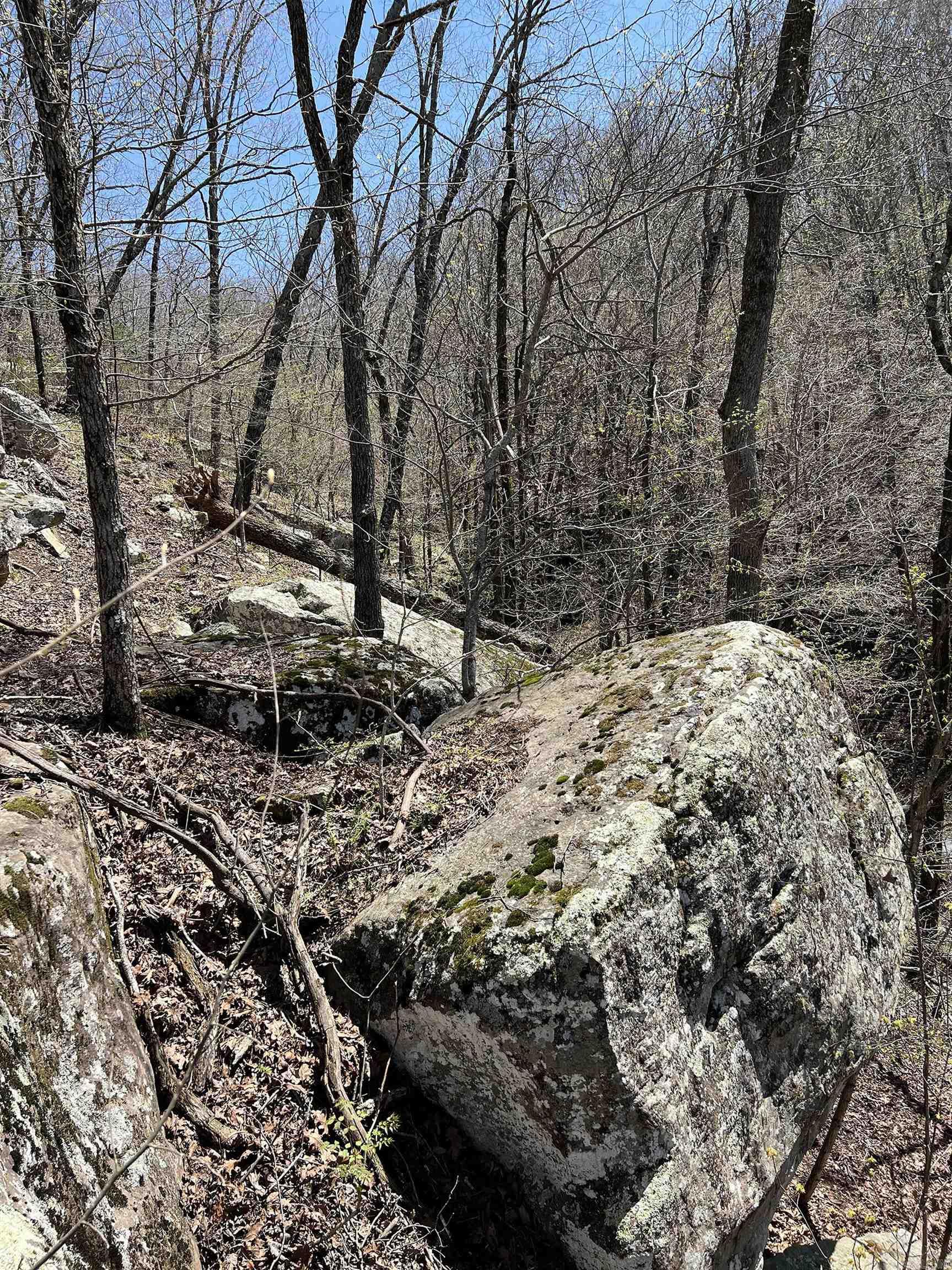 5800 White Oak Mountain Road Hector, AR 72843