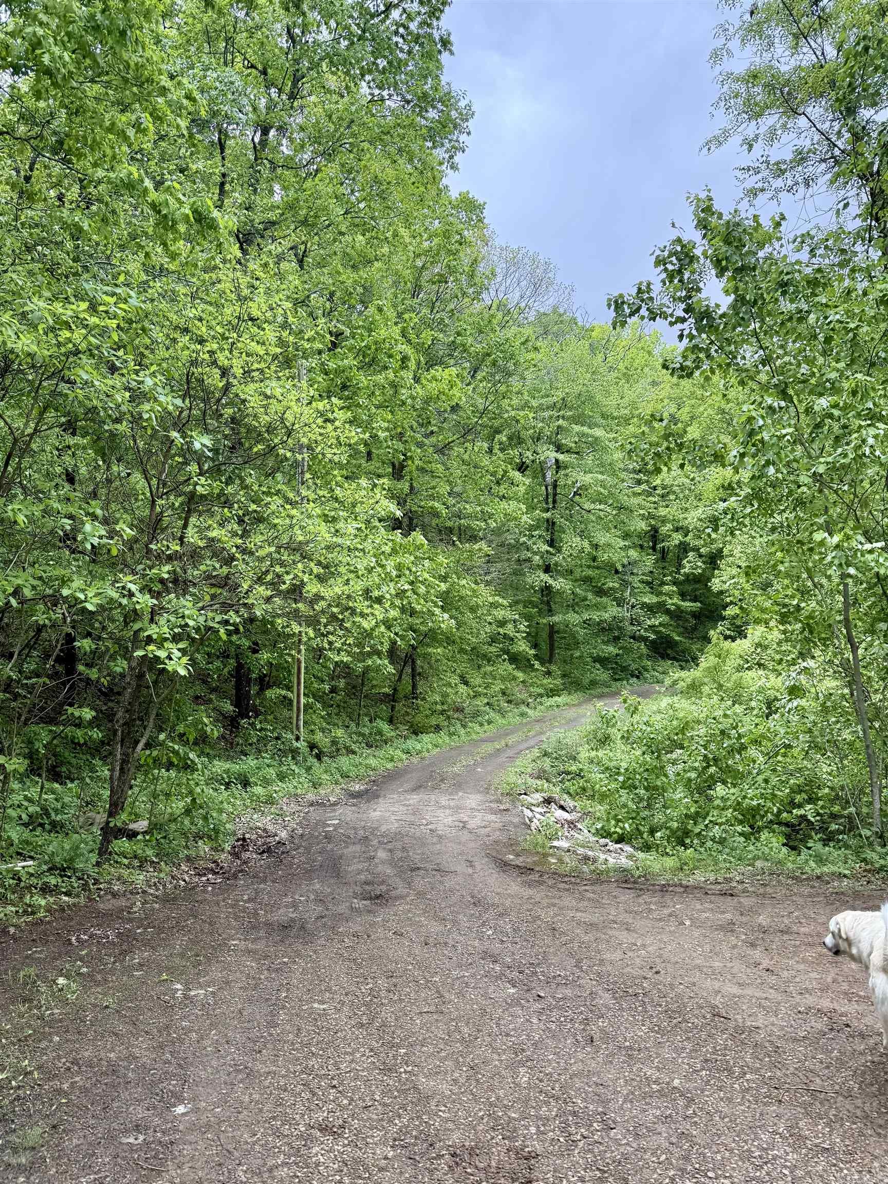 5800 White Oak Mountain  Hector, AR