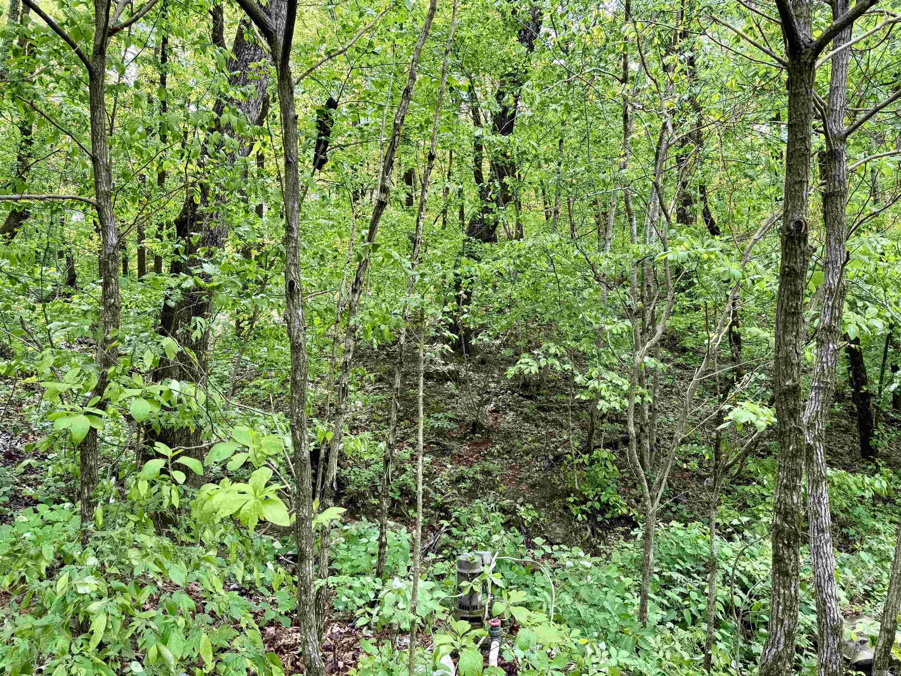 5800 White Oak Mountain Road Hector, AR 72843