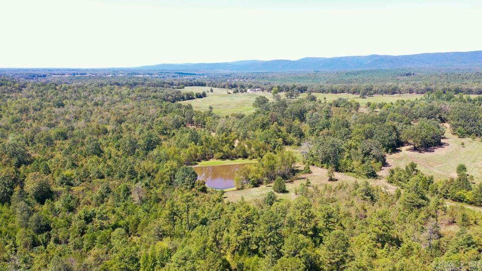 684 Old Waters  Oden, AR