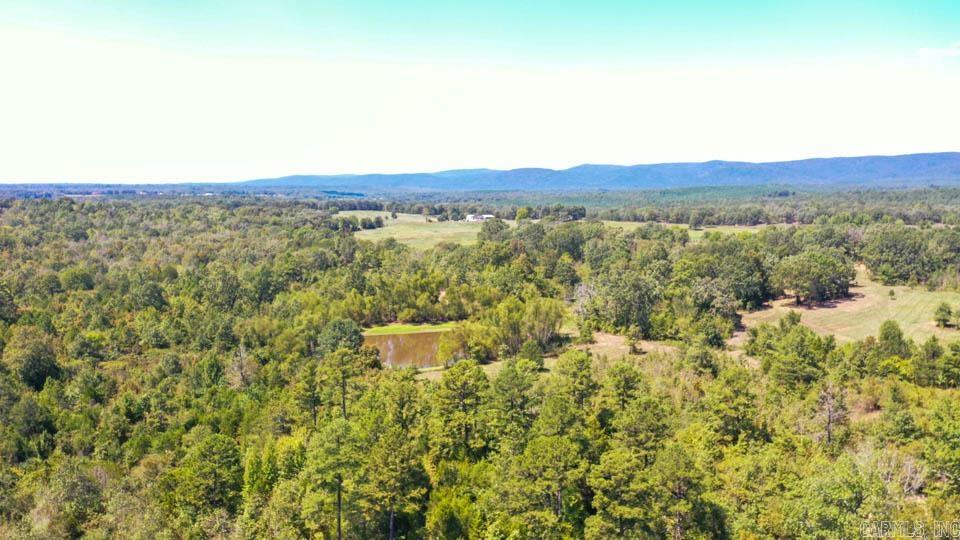 684 Old Waters  Oden, AR