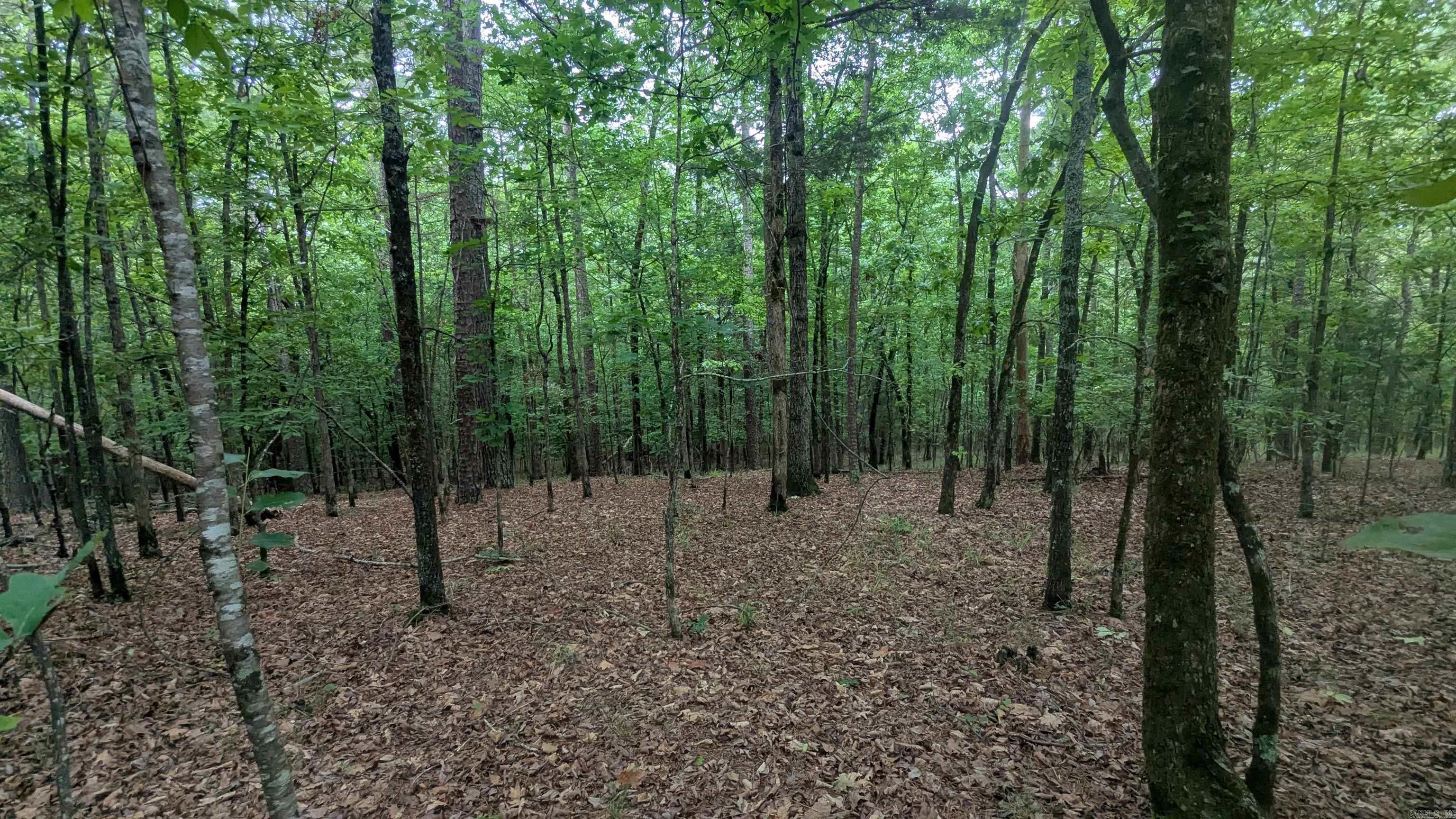 0 Pool  Lonsdale, AR
