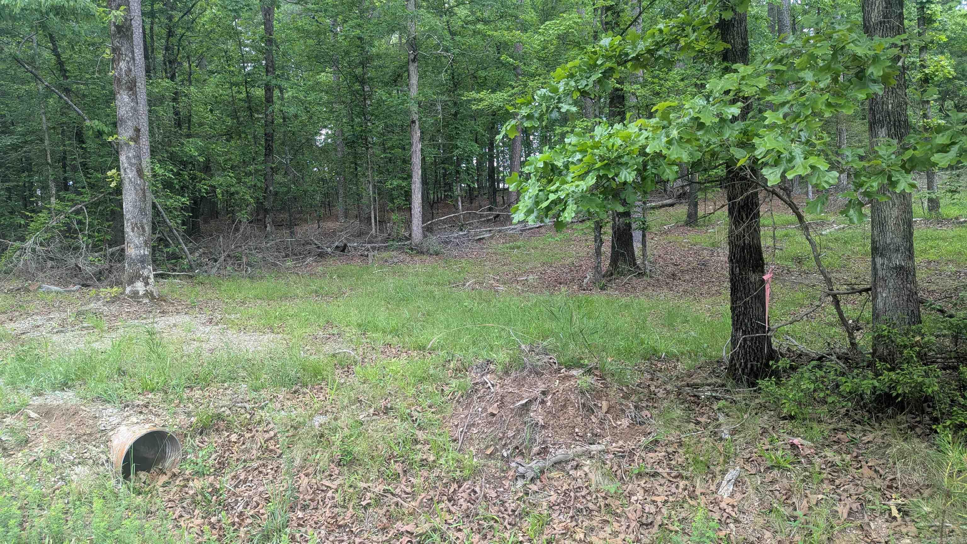 0 Pool  Lonsdale, AR