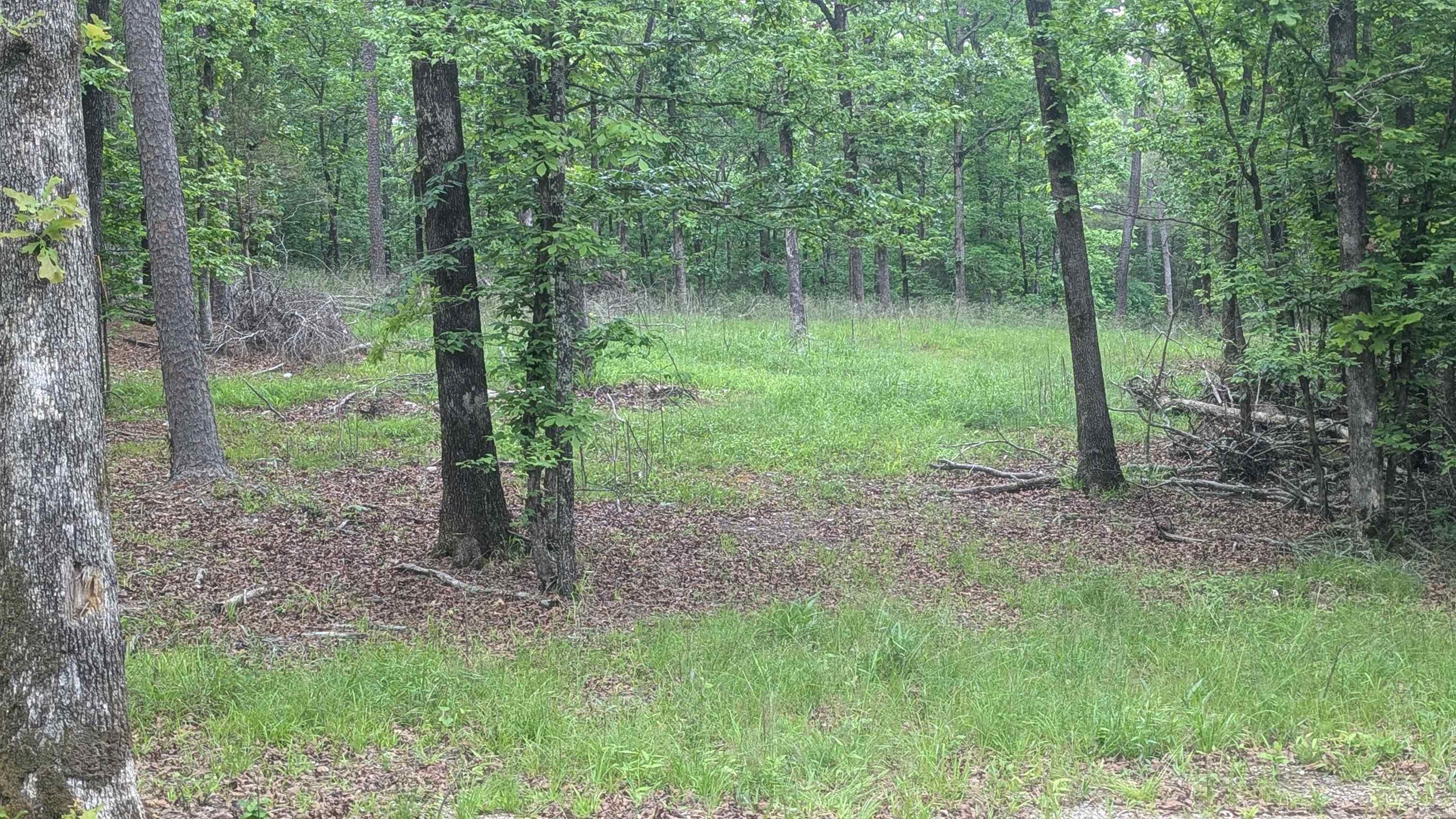 0 Pool  Lonsdale, AR