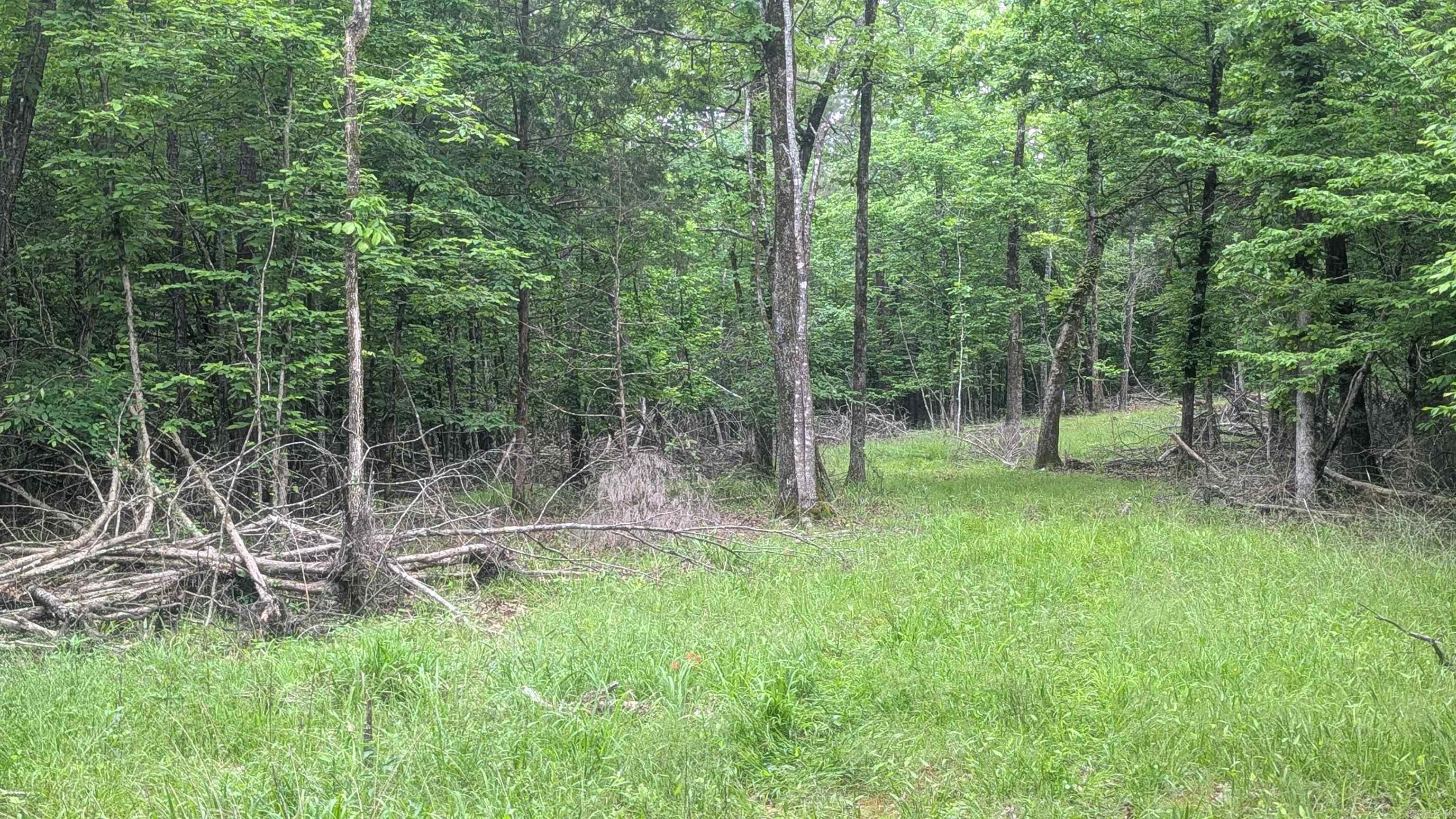 0 Pool  Lonsdale, AR