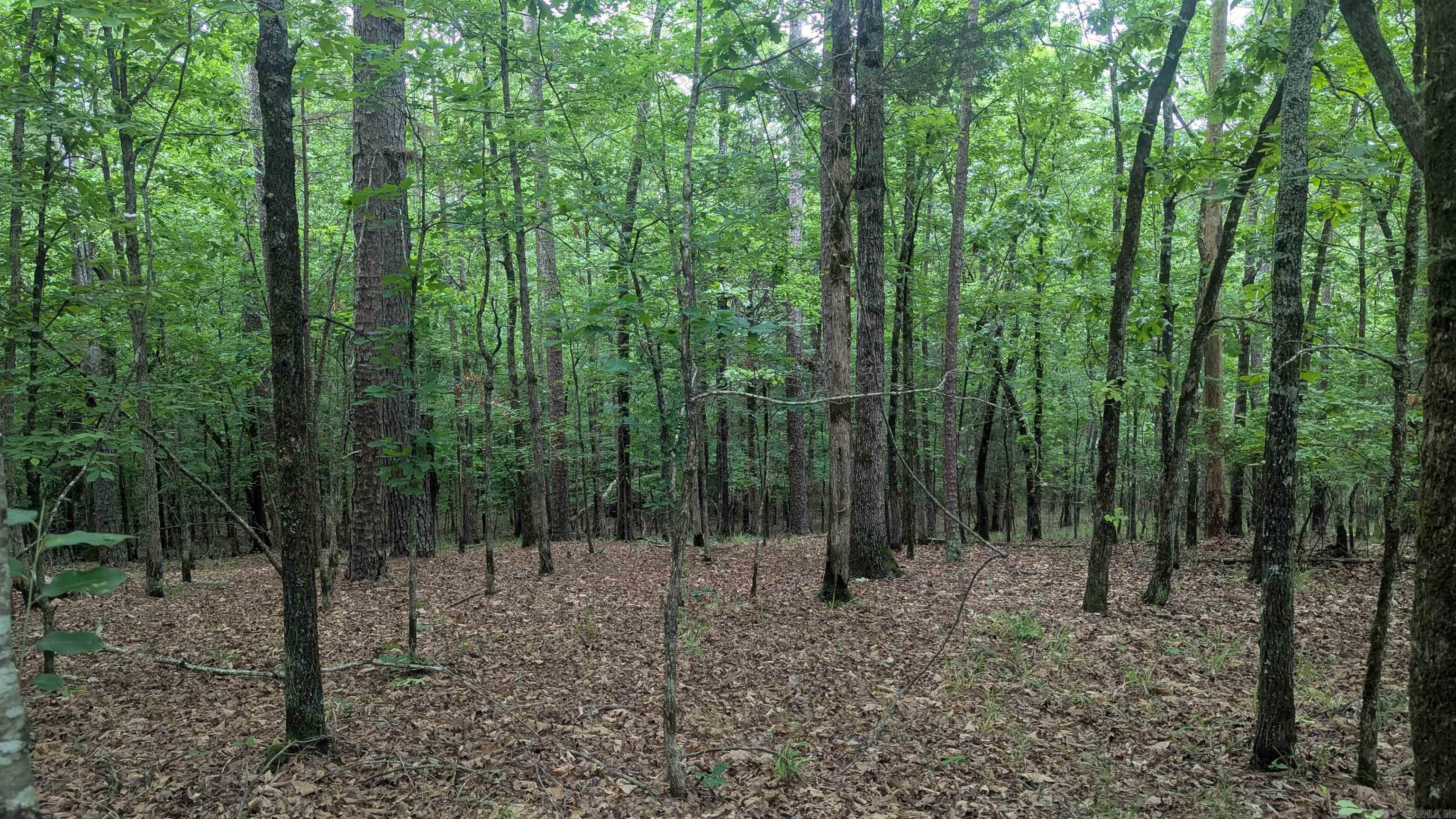 0 Pool  Lonsdale, AR