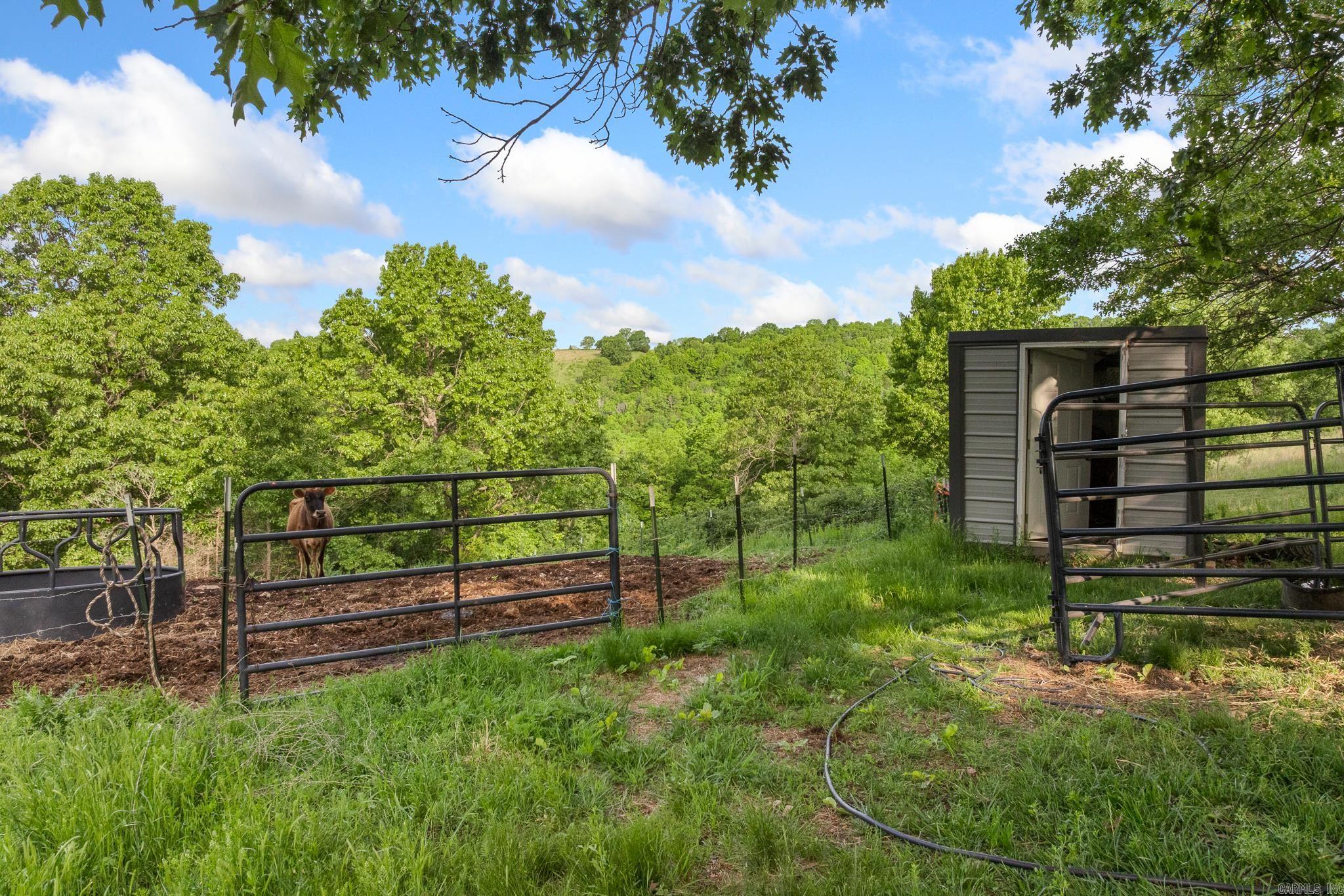 345 Hope Creek  Harrison, AR