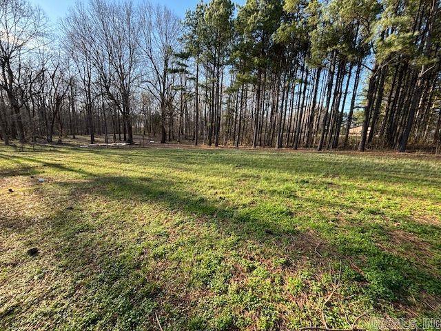 5 Current River  Maynard, AR