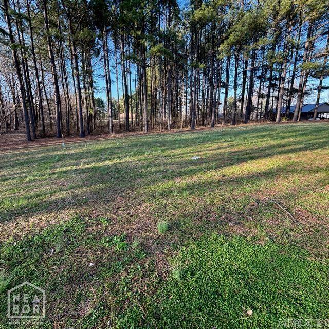 5 Current River  Maynard, AR