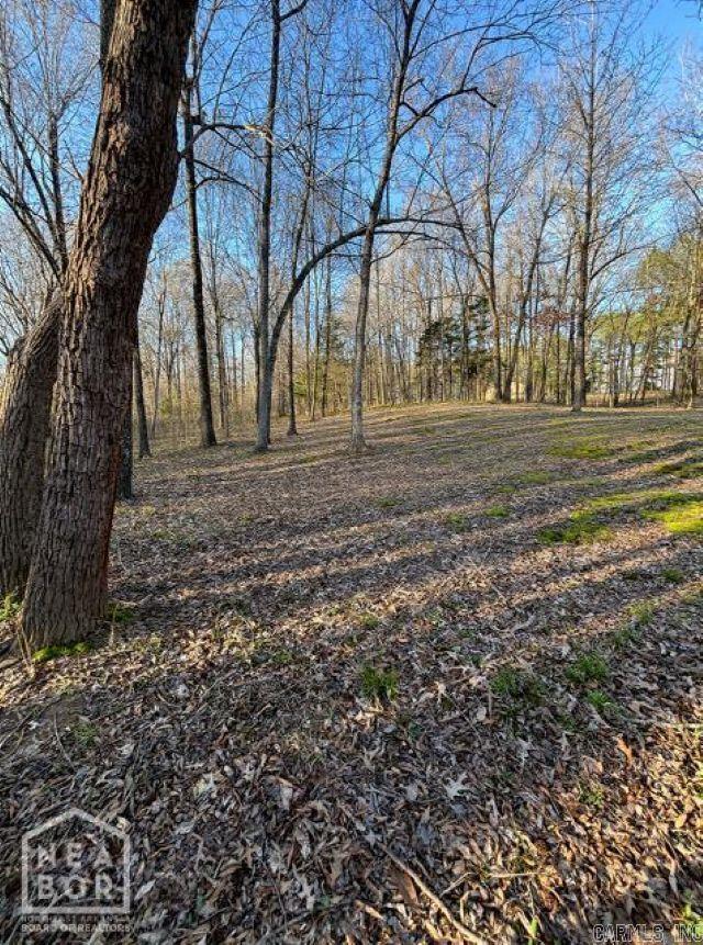 5 Current River  Maynard, AR